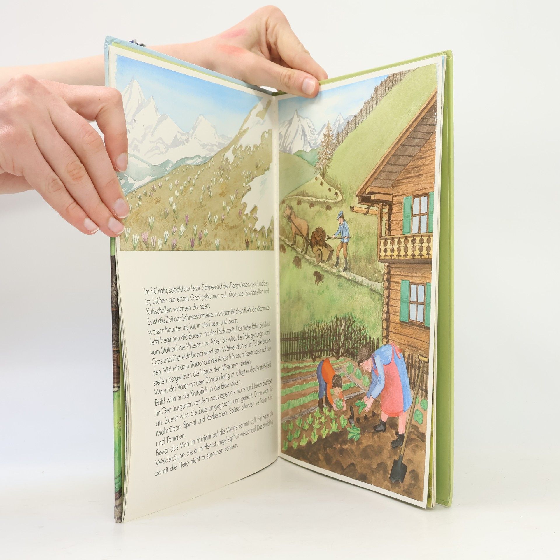 Veronika Zacharias Zwischen Berg und Tal: Ein Bilderbuch vom Bergbauernhof