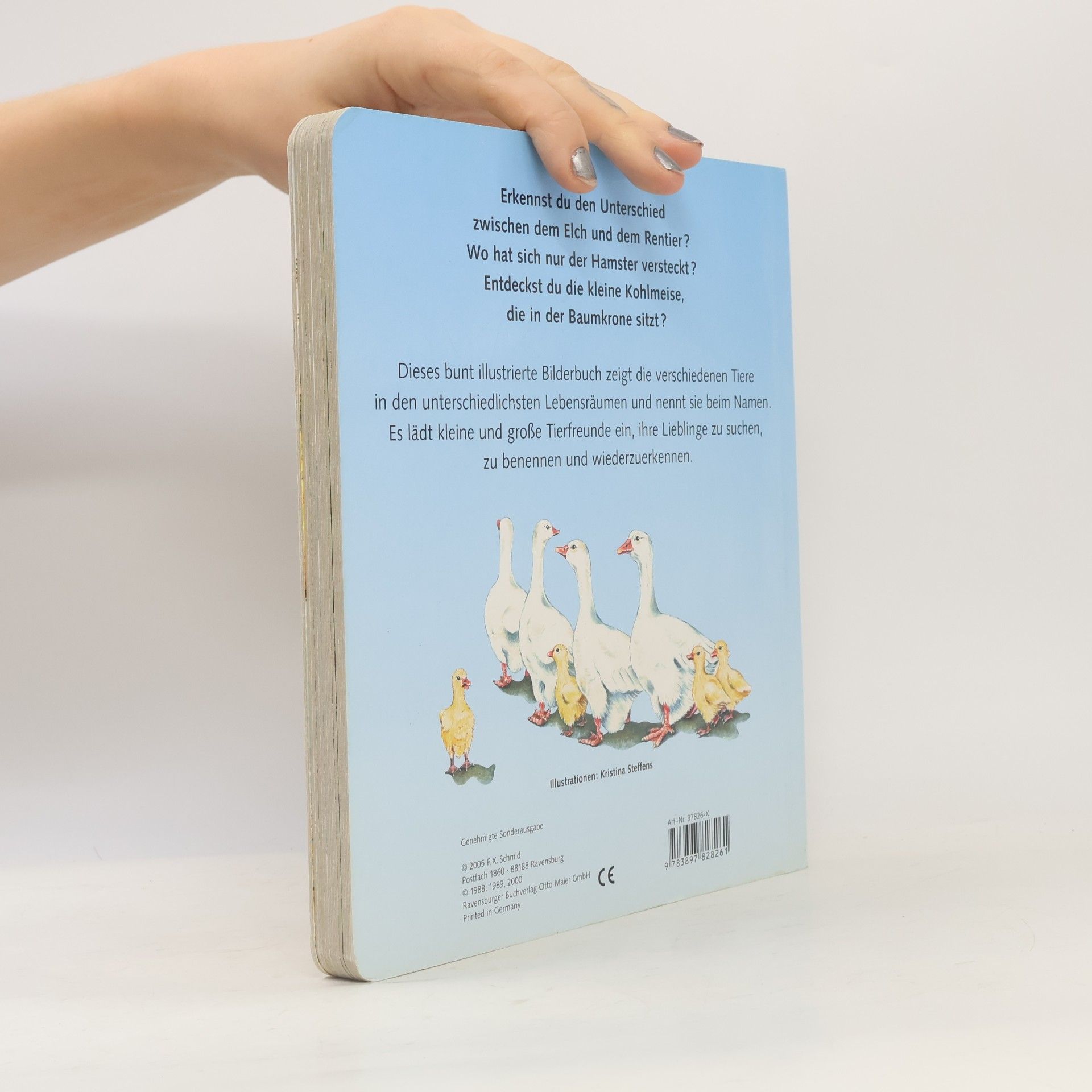 Kristina Steffens Mein kunterbuntes Tierbuch