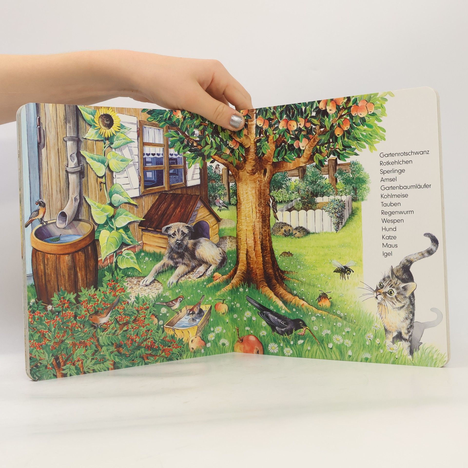 Kristina Steffens Mein kunterbuntes Tierbuch