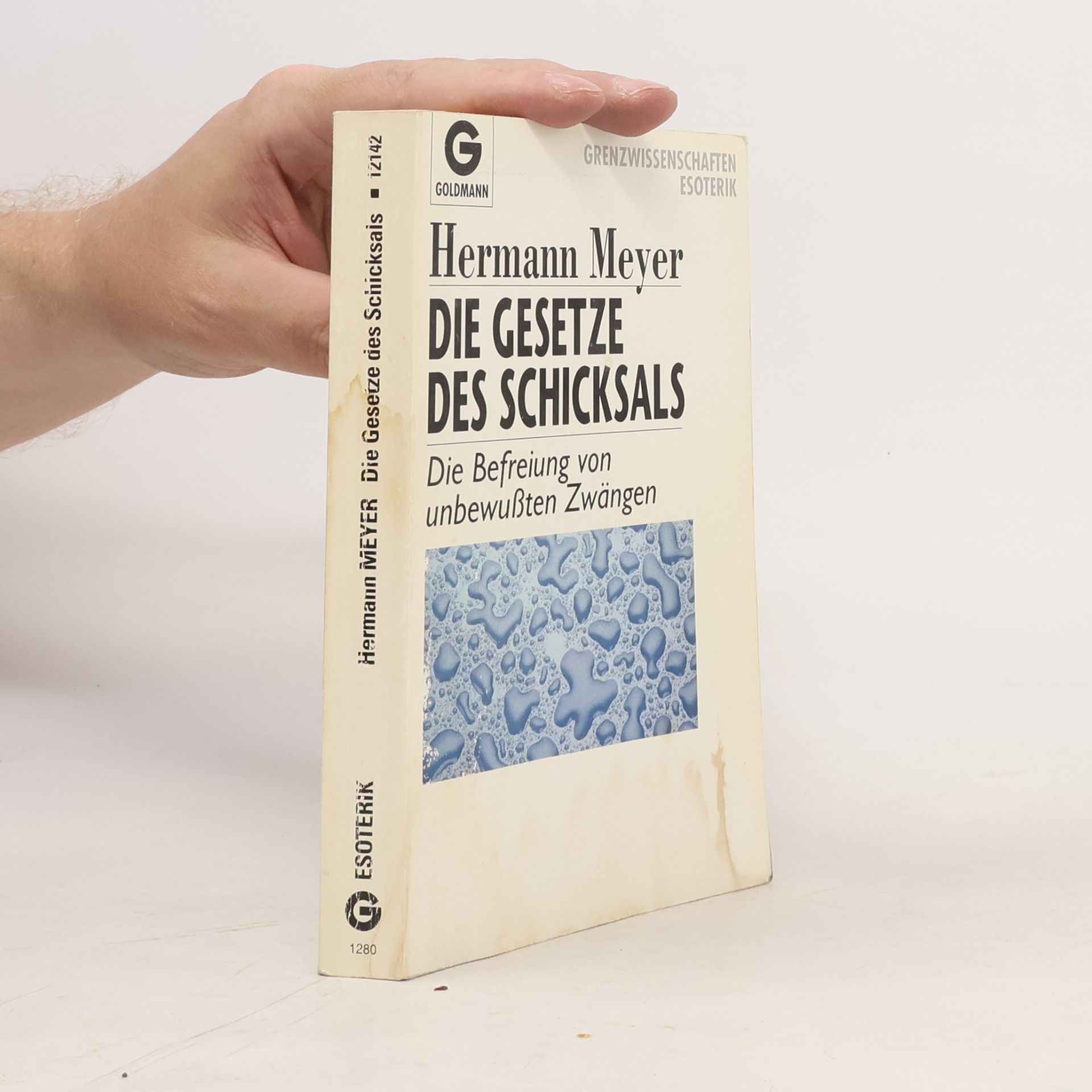 Herman Meyer Die Gesetze des Schicksals