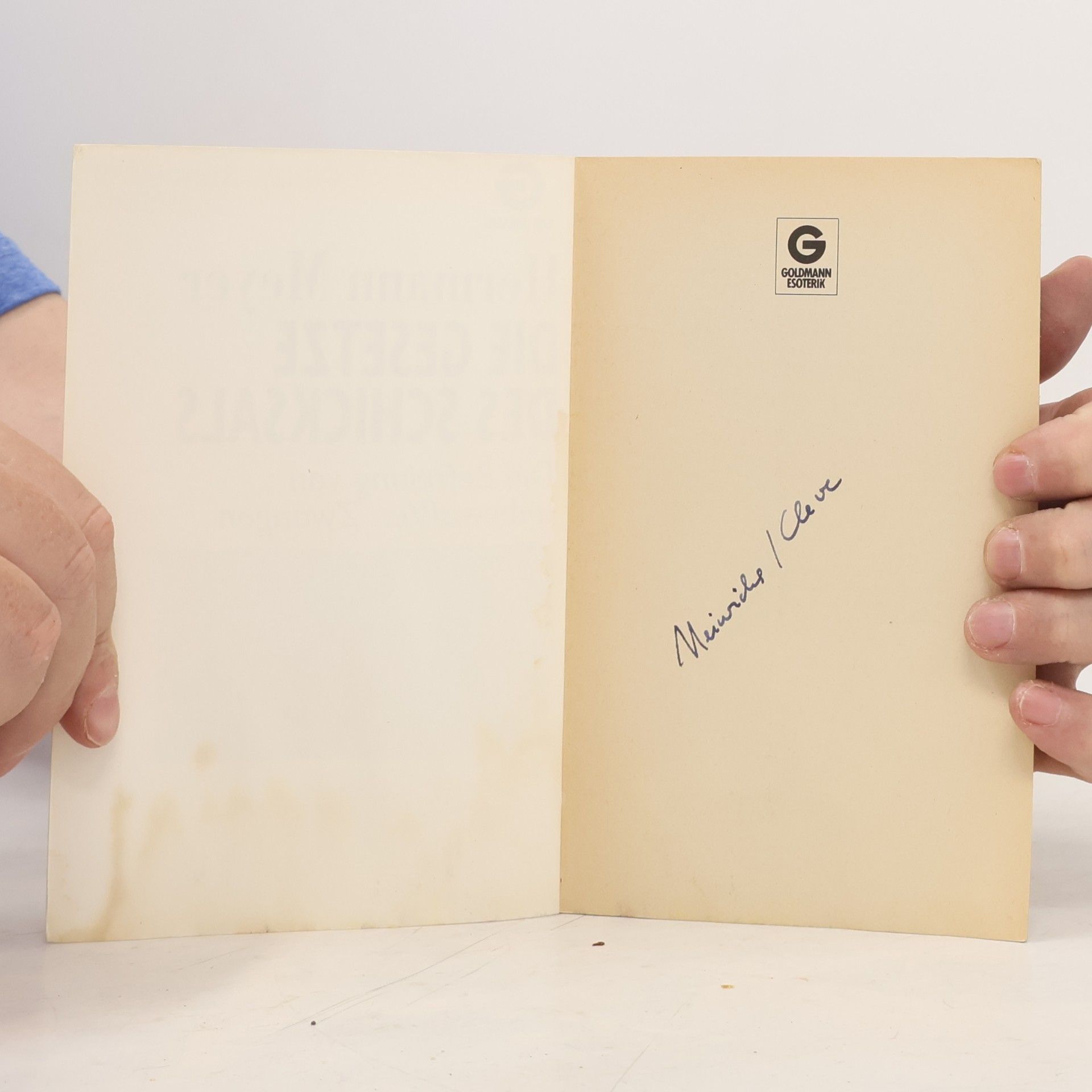 Herman Meyer Die Gesetze des Schicksals