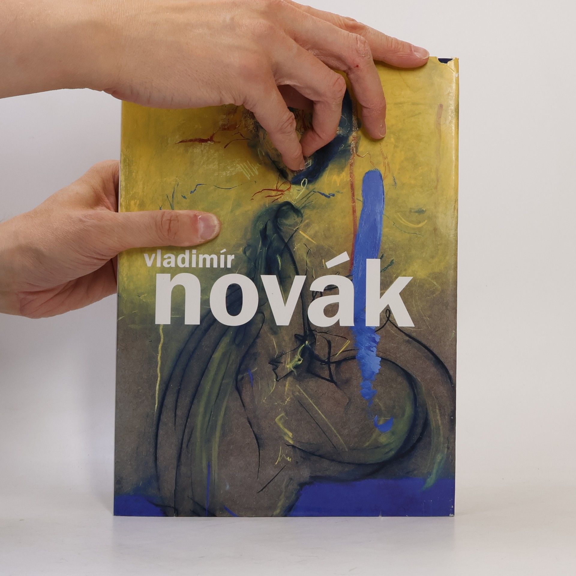 Josef Hlaváček Vladimír Novák