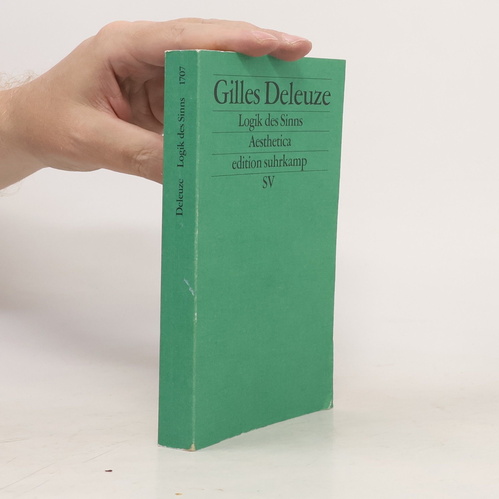Gilles Deleuze Logik des Sinns