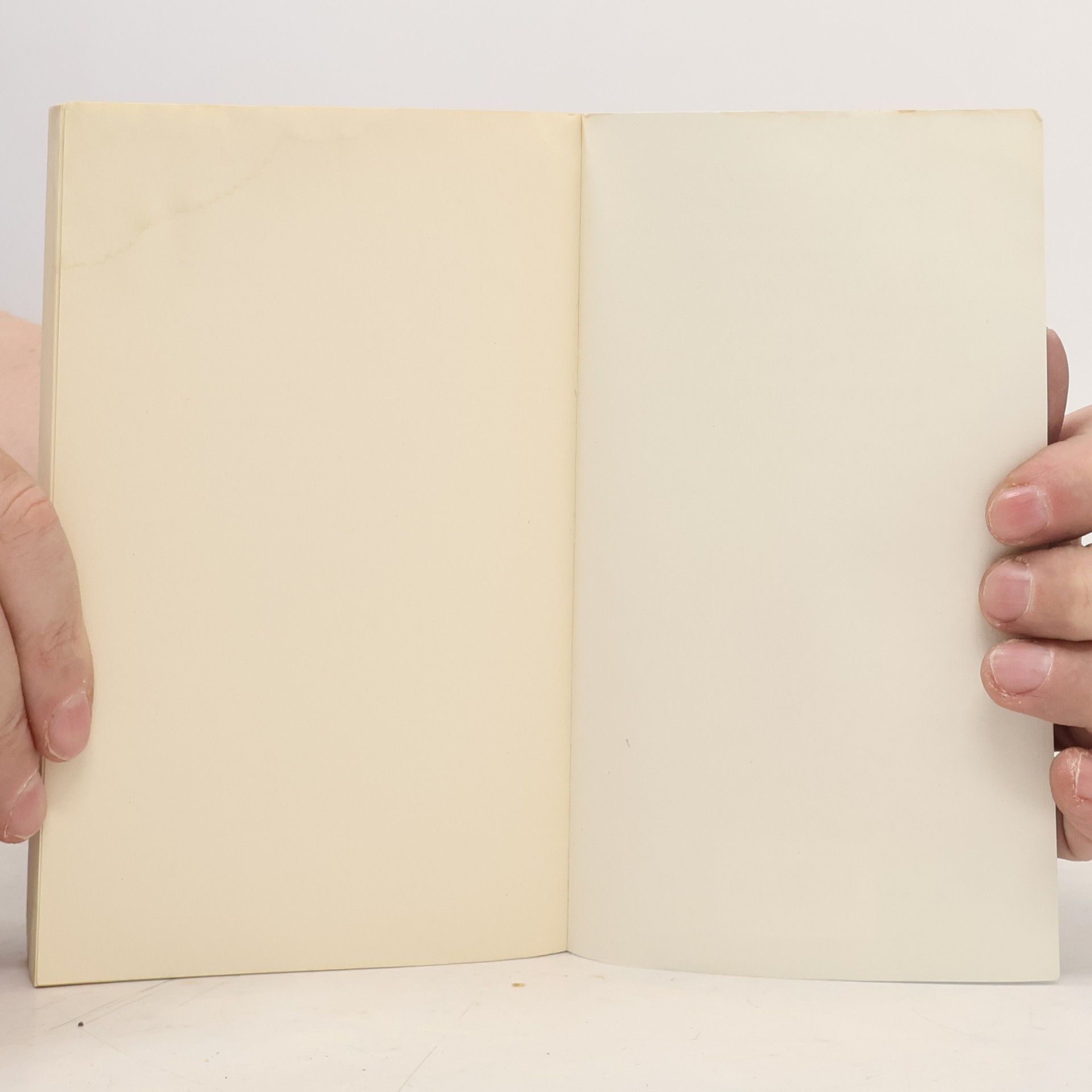 Gilles Deleuze Logik des Sinns