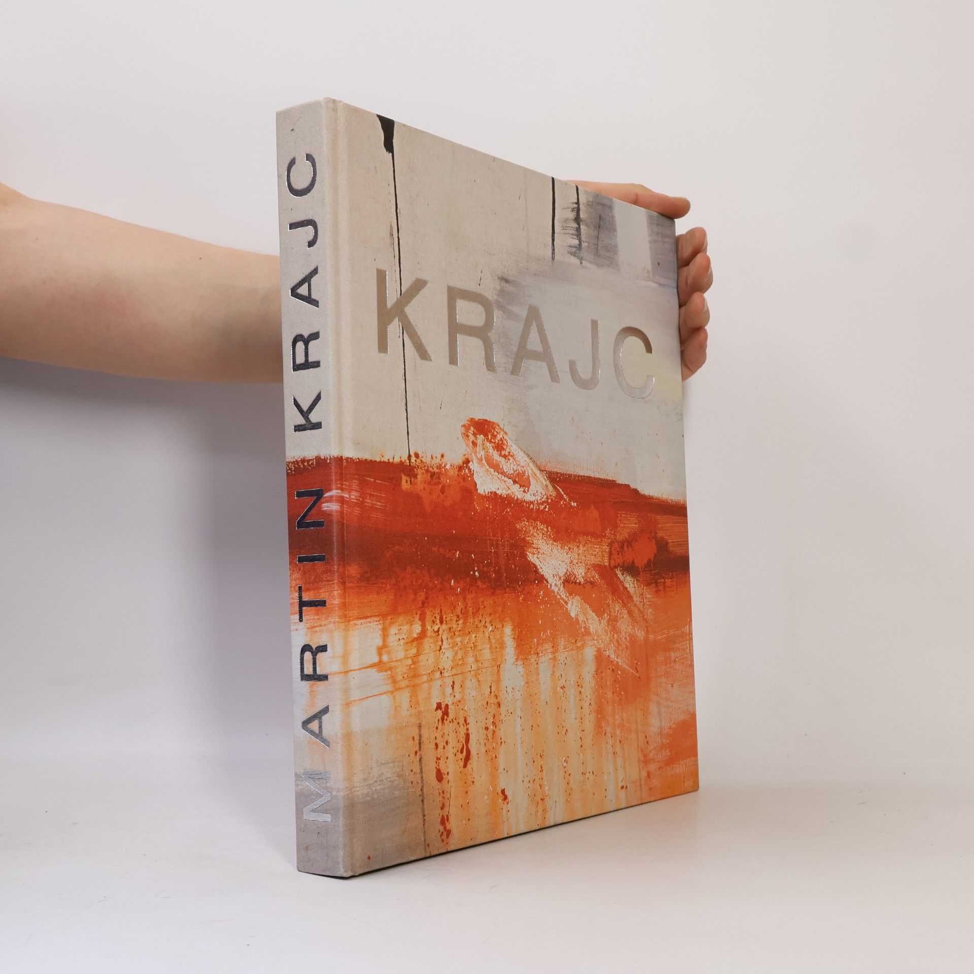 Martin Krajc : pictures in my head