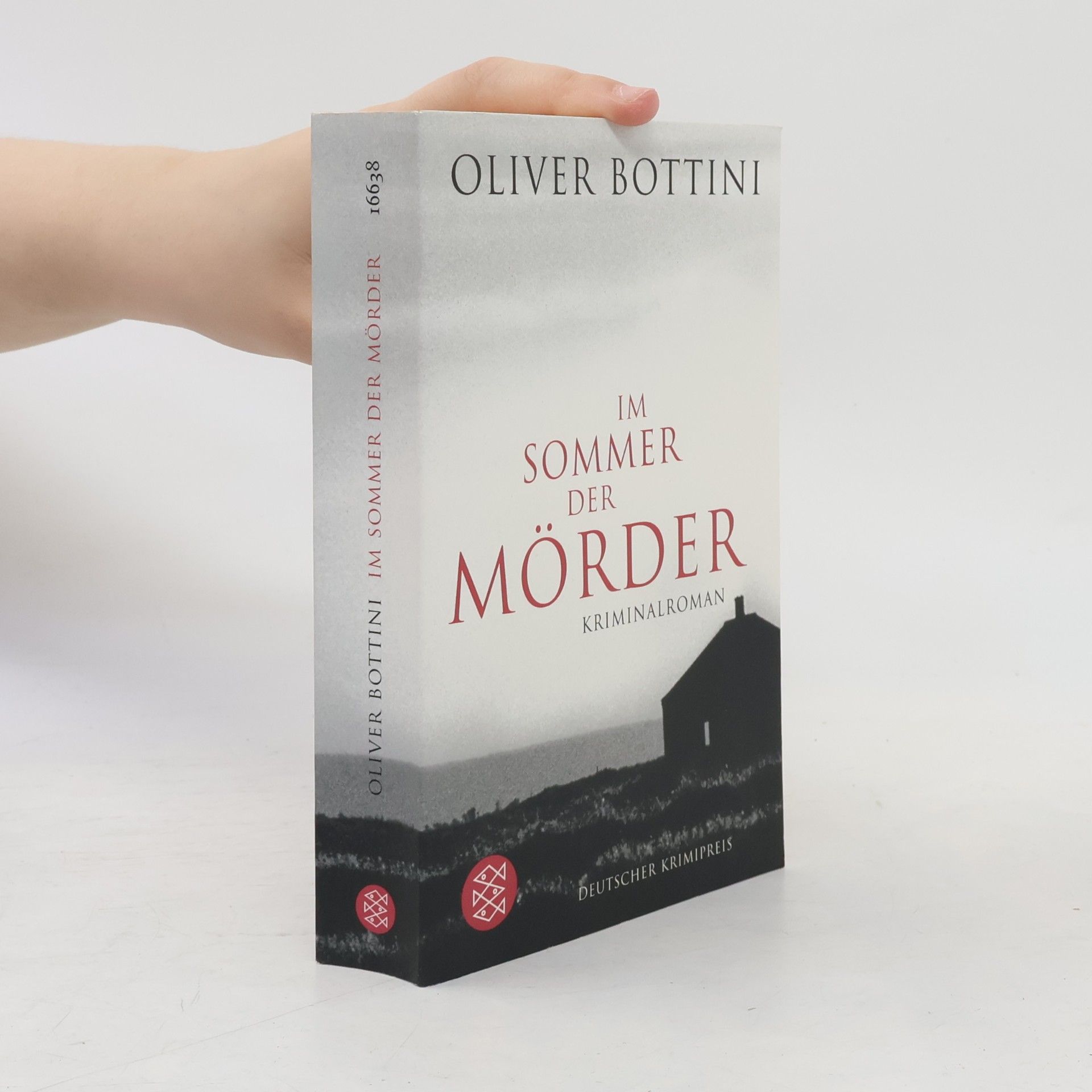 Oliver Bottini Im Sommer der Mörder