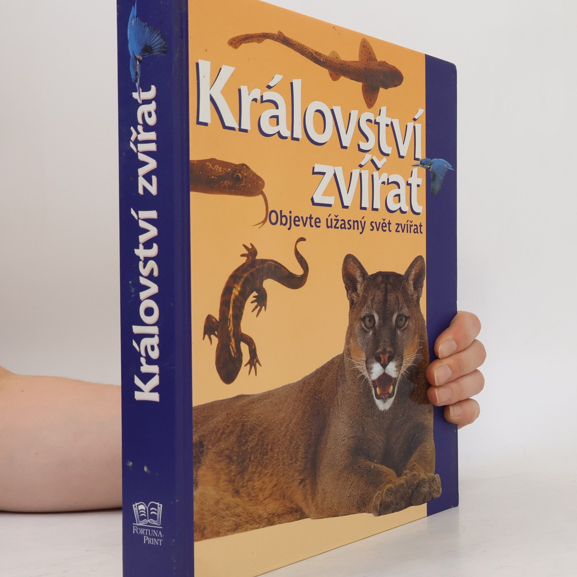 David Burnie Království zvířat