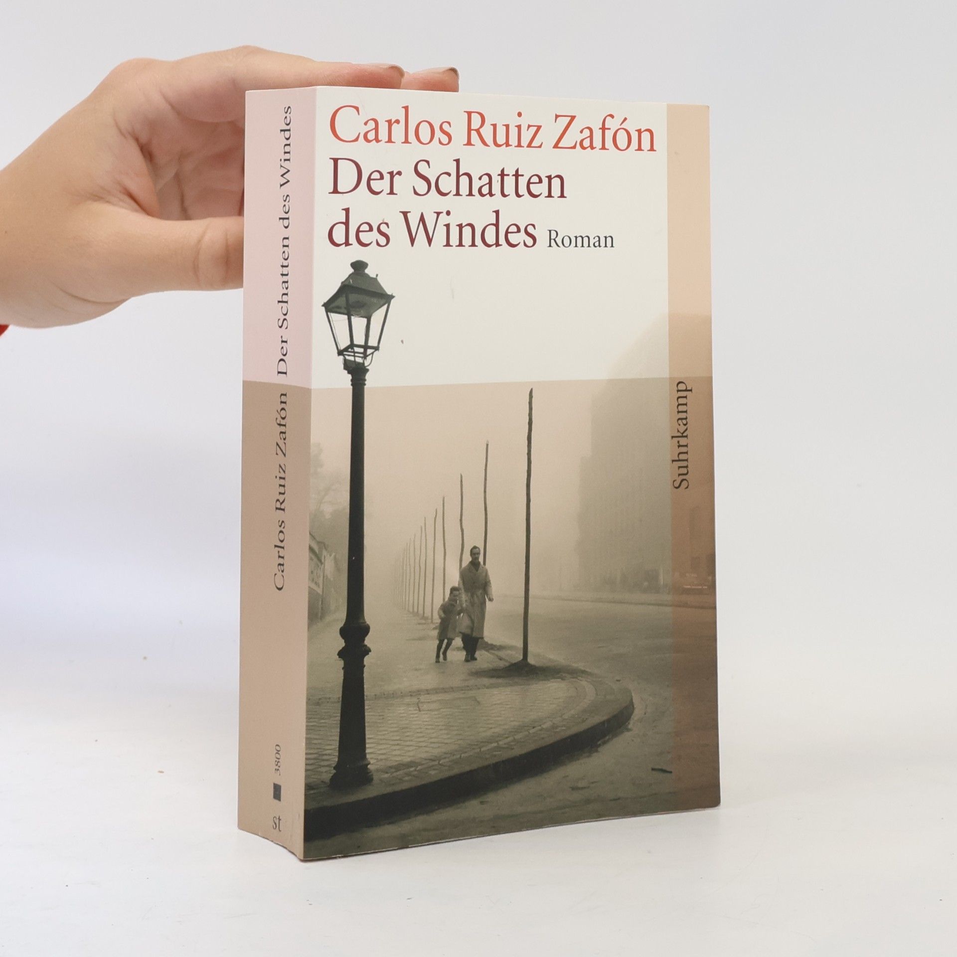 Carlos Ruiz Zafón Der Schatten des Windes