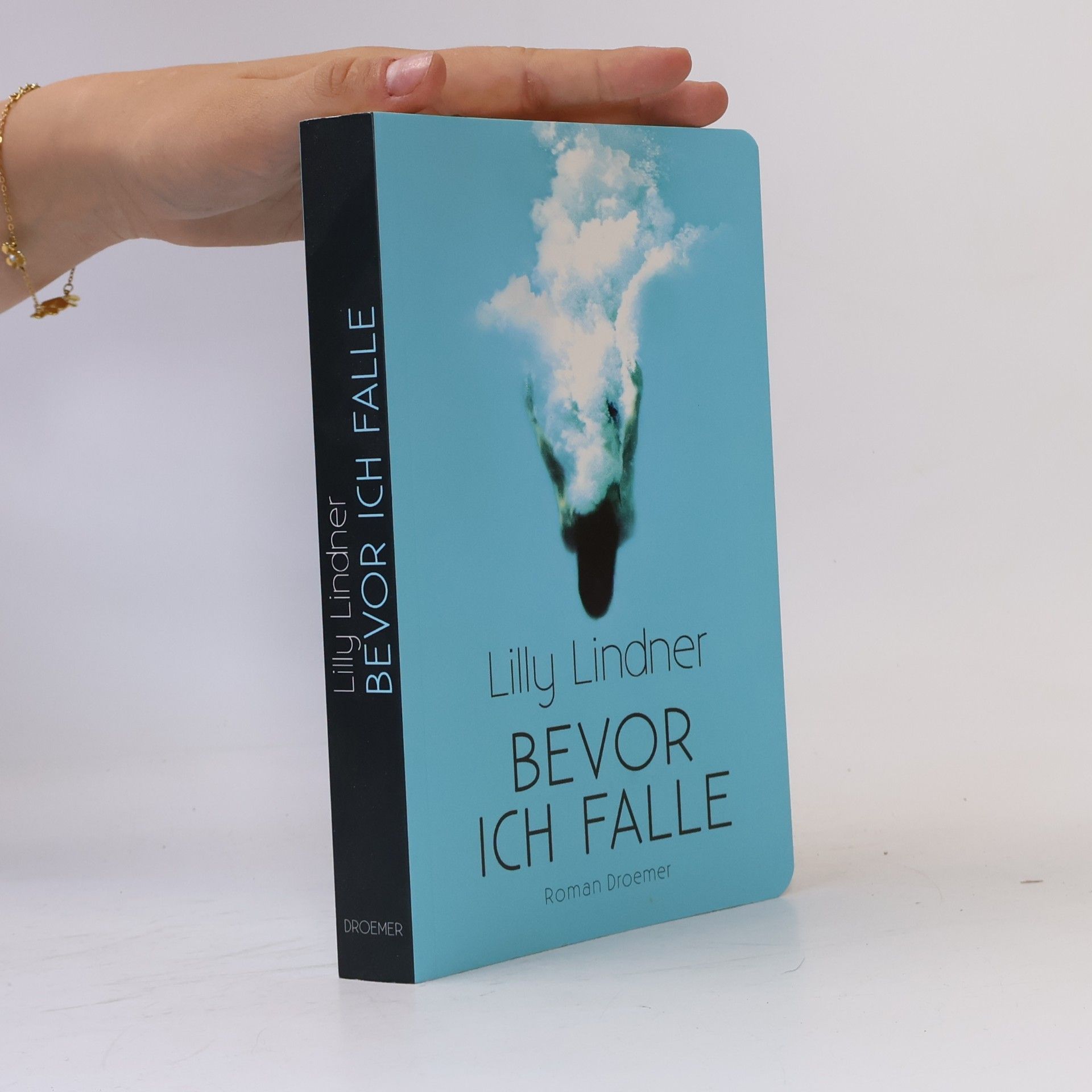 Lilly Lindner Bevor ich falle