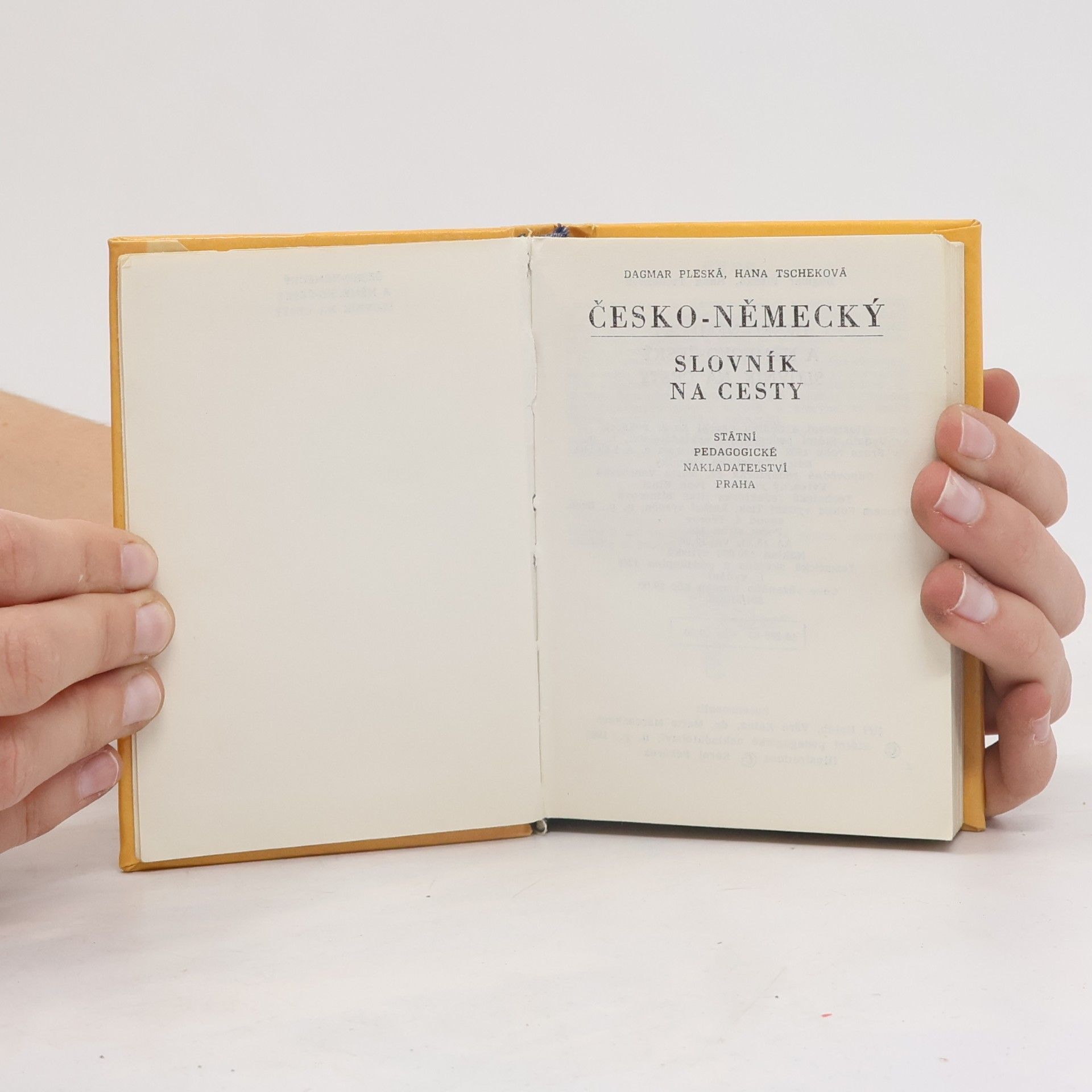 Collectif d'auteurs Česko-německý a německo-český slovník na cesty