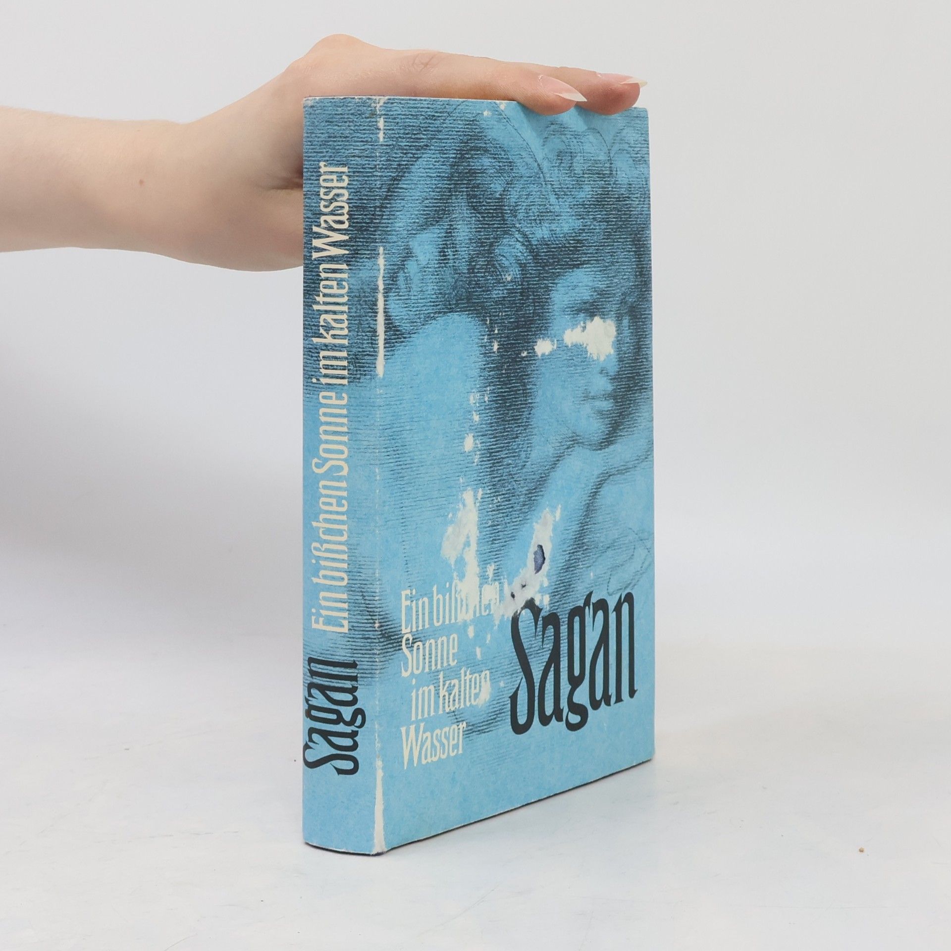 Françoise Sagan Ein bißchen Sonne im kalten Wasser