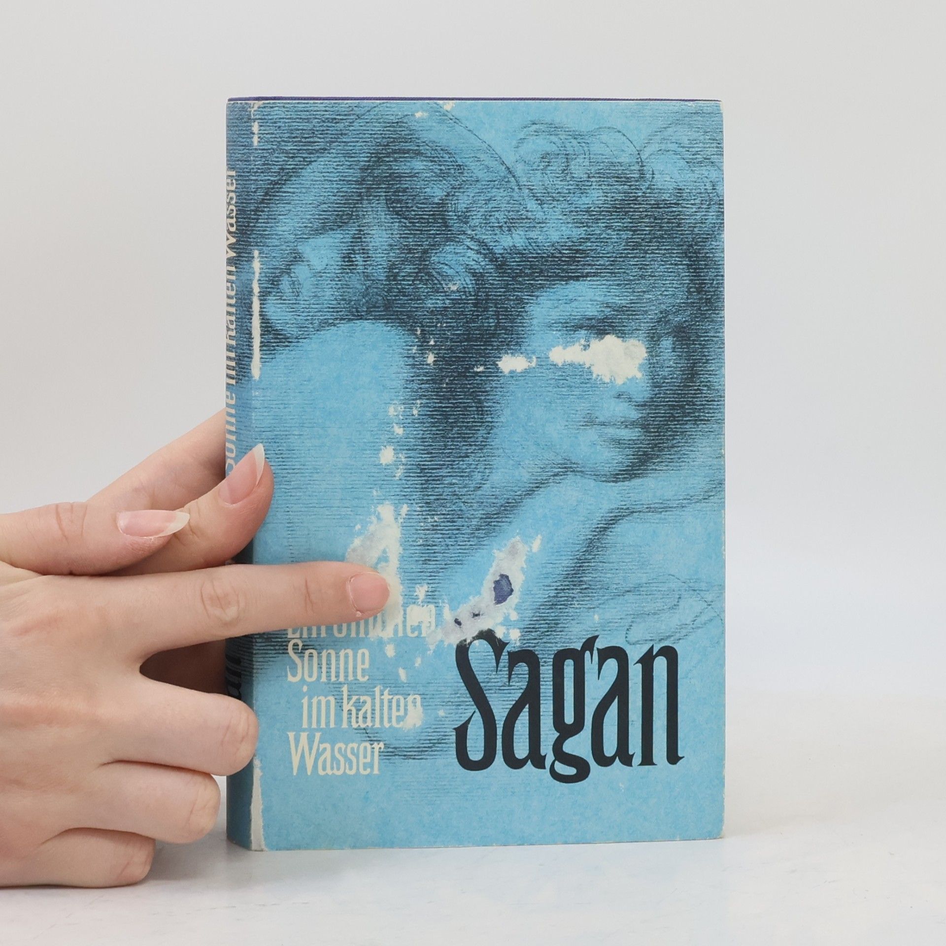 Françoise Sagan Ein bißchen Sonne im kalten Wasser