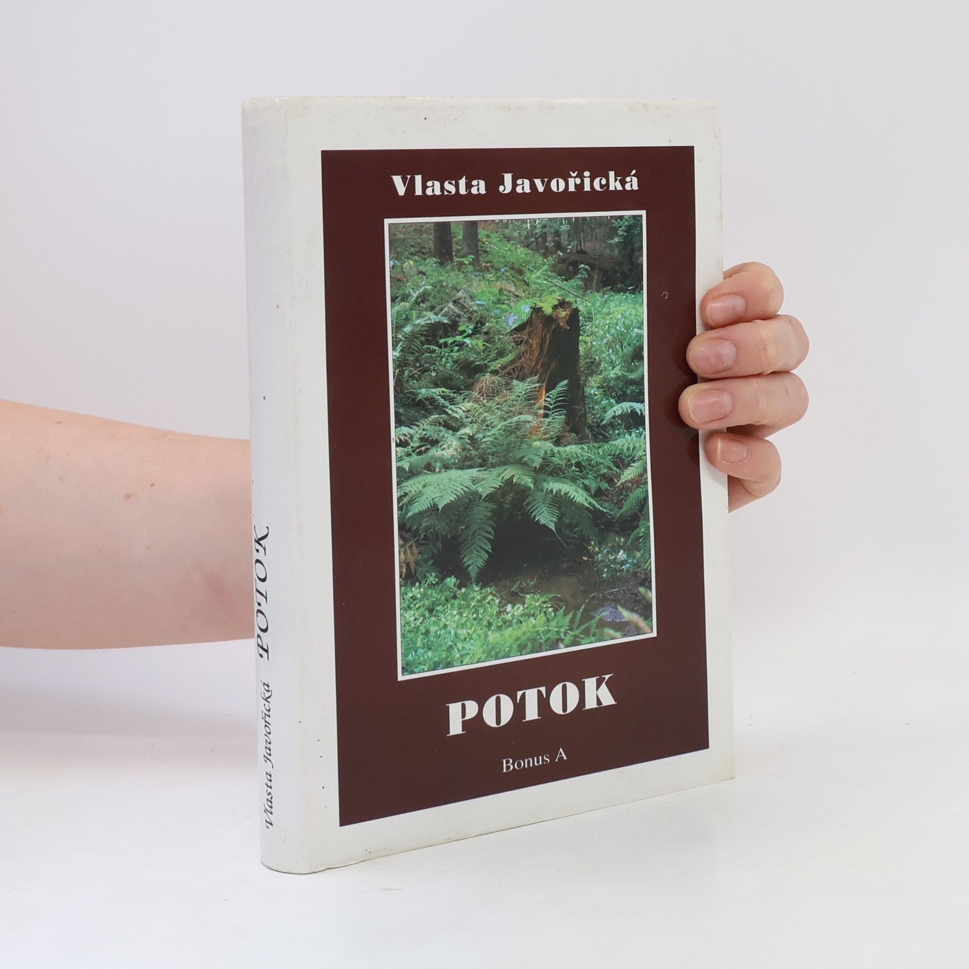 Vlasta Javořická Potok