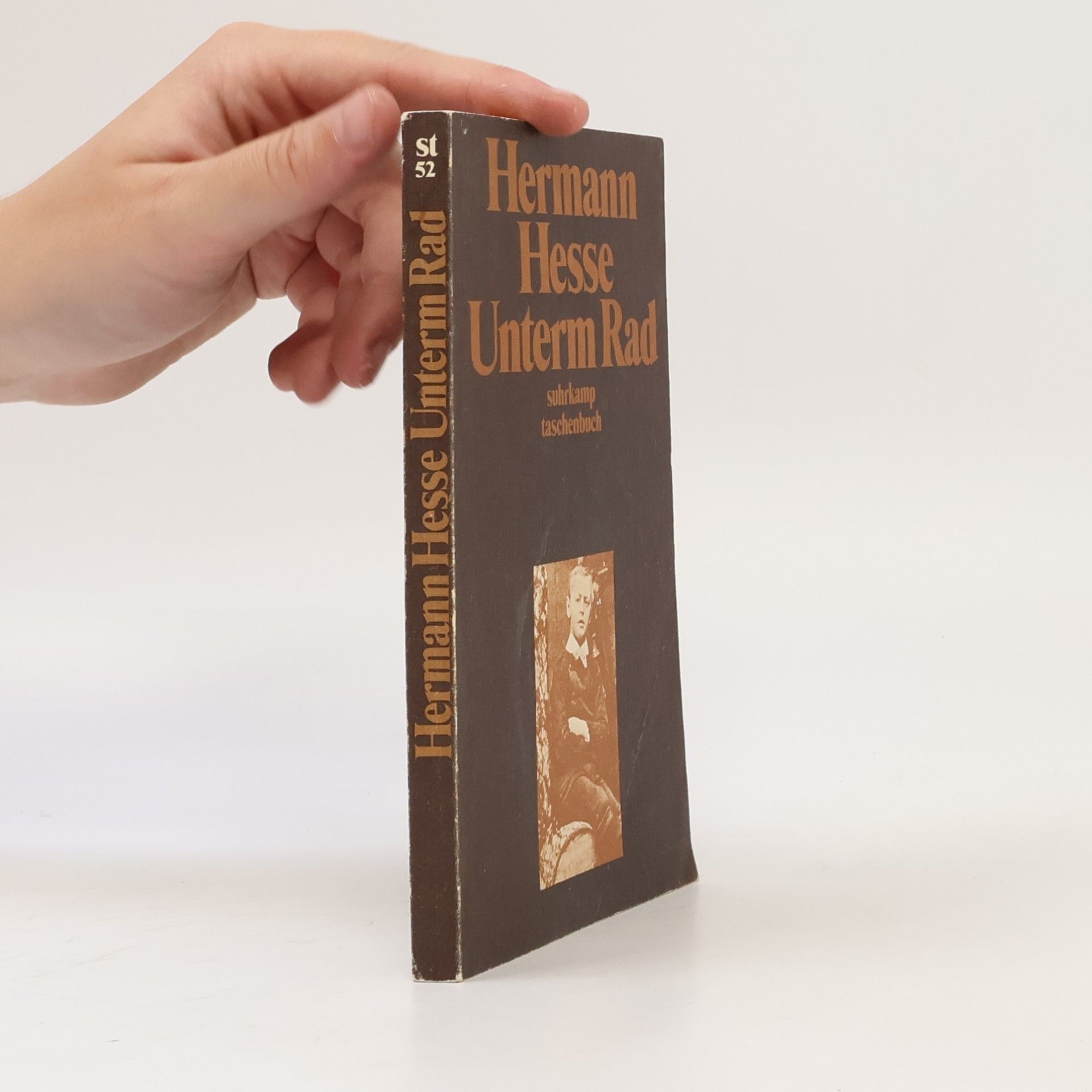 Hermann Hesse Unterm Rad