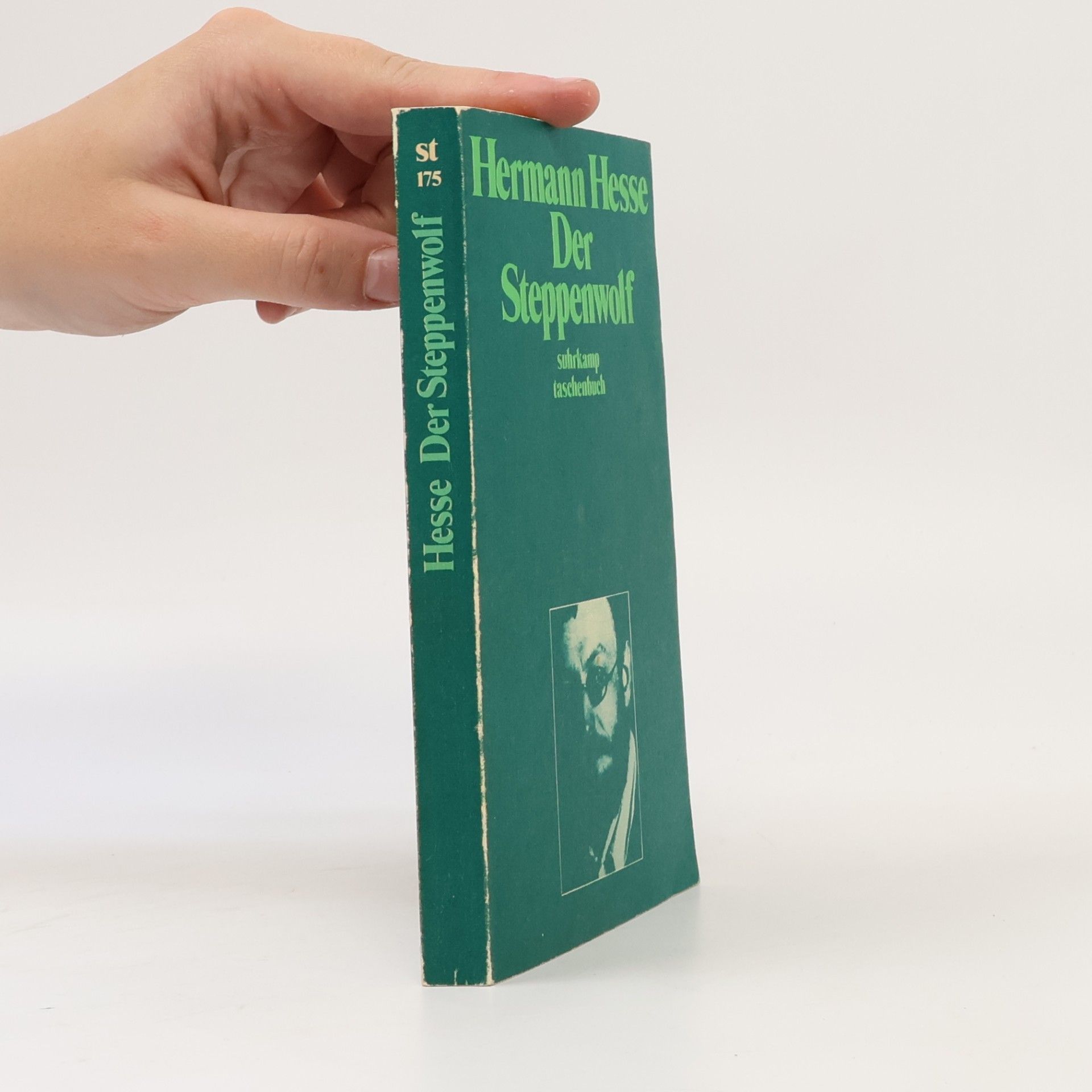 Hermann Hesse Der Steppenwolf