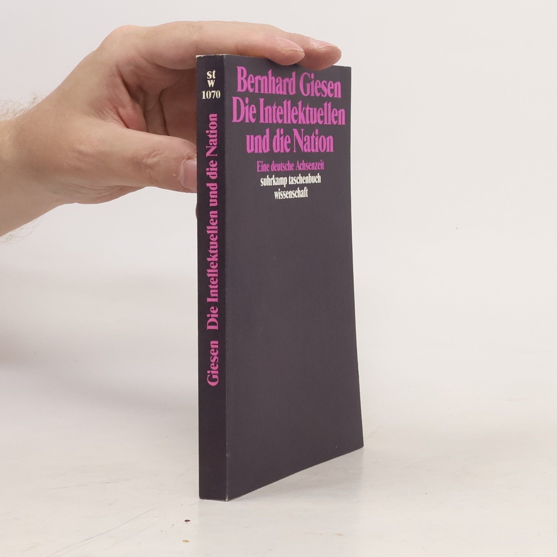 Bernhard Giesen Suhrkamp Taschenbuch Wissenschaft - 1070: Die Intellektuellen und die Nation