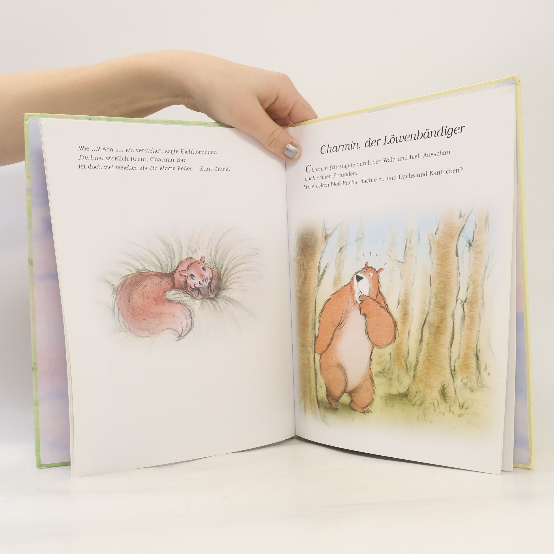 David McKee Charmin, der Bär und seine Freunde