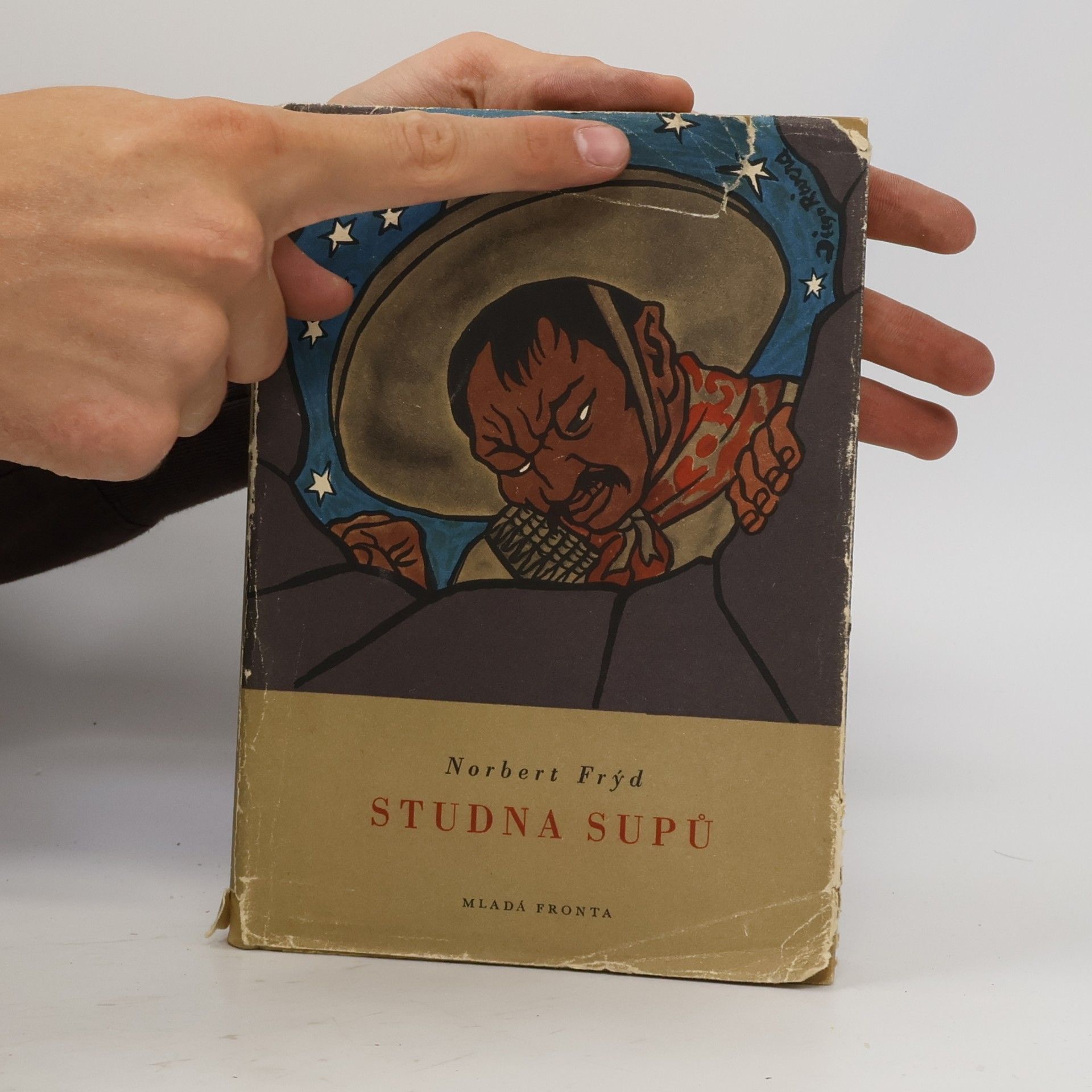 Norbert Frýd Studna supů