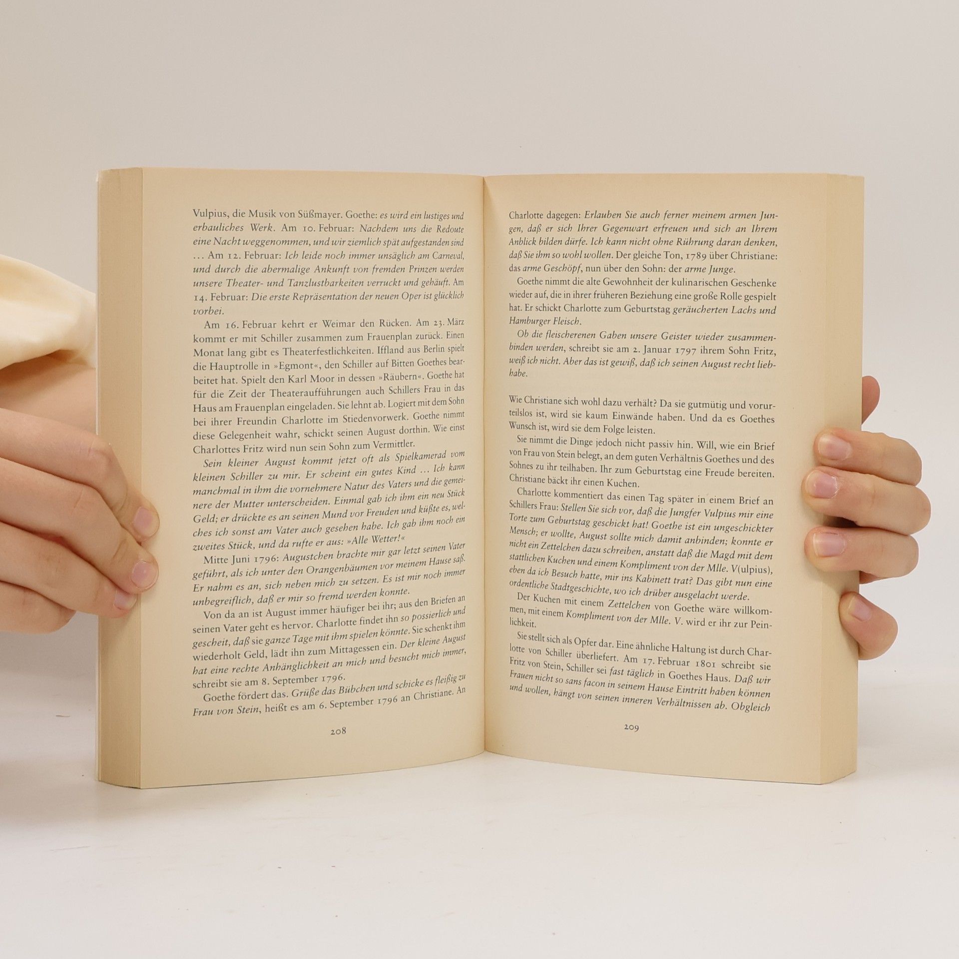 Sigrid Damm Christiane und Goethe