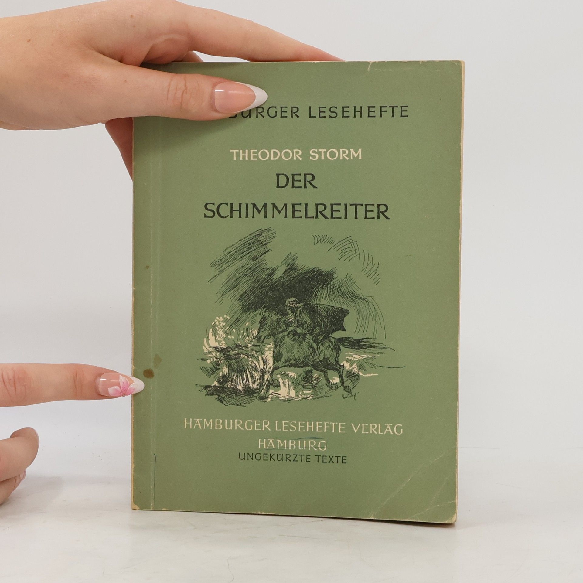 Theodor Storm Der Schimmelreiter