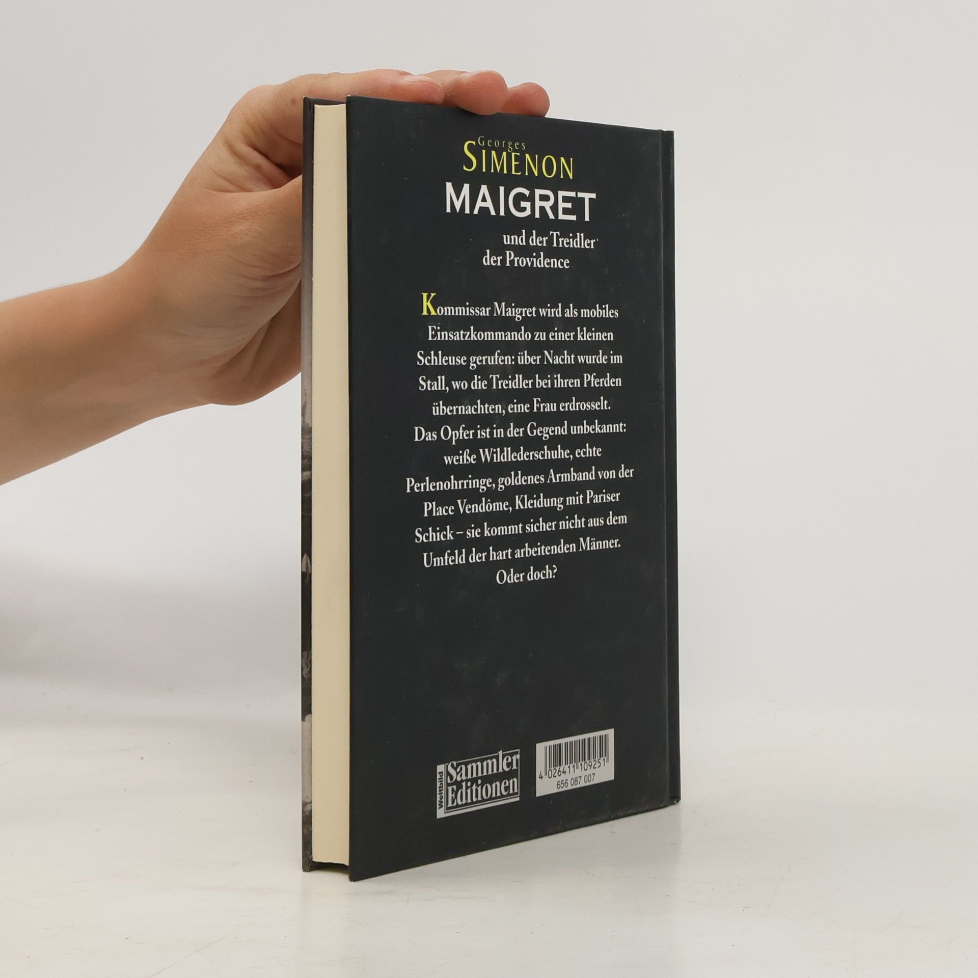 Georges Simenon Maigret und der Treidler der Providence