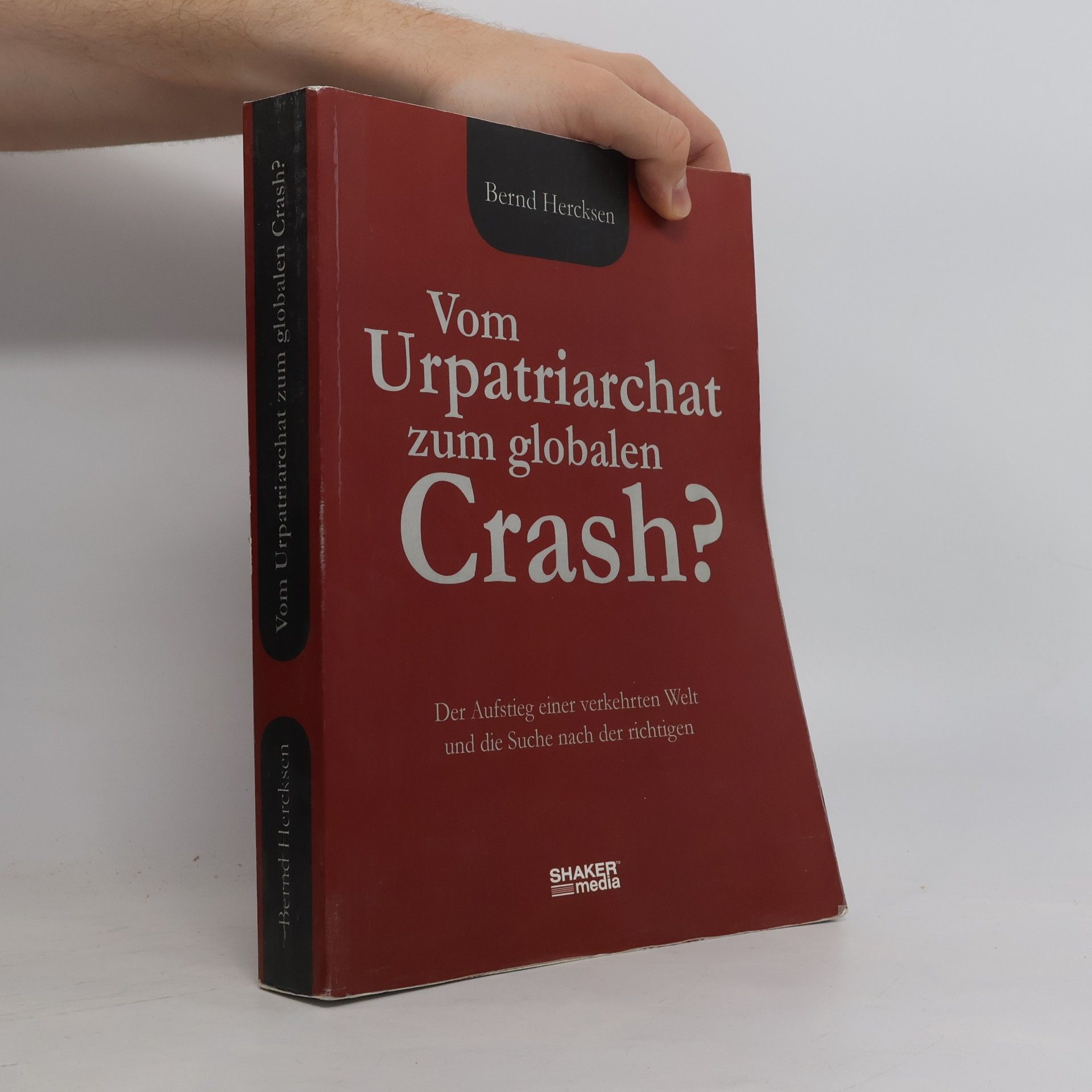 Bernd Hercksen Vom Urpatriarchat zum globalen Crash?