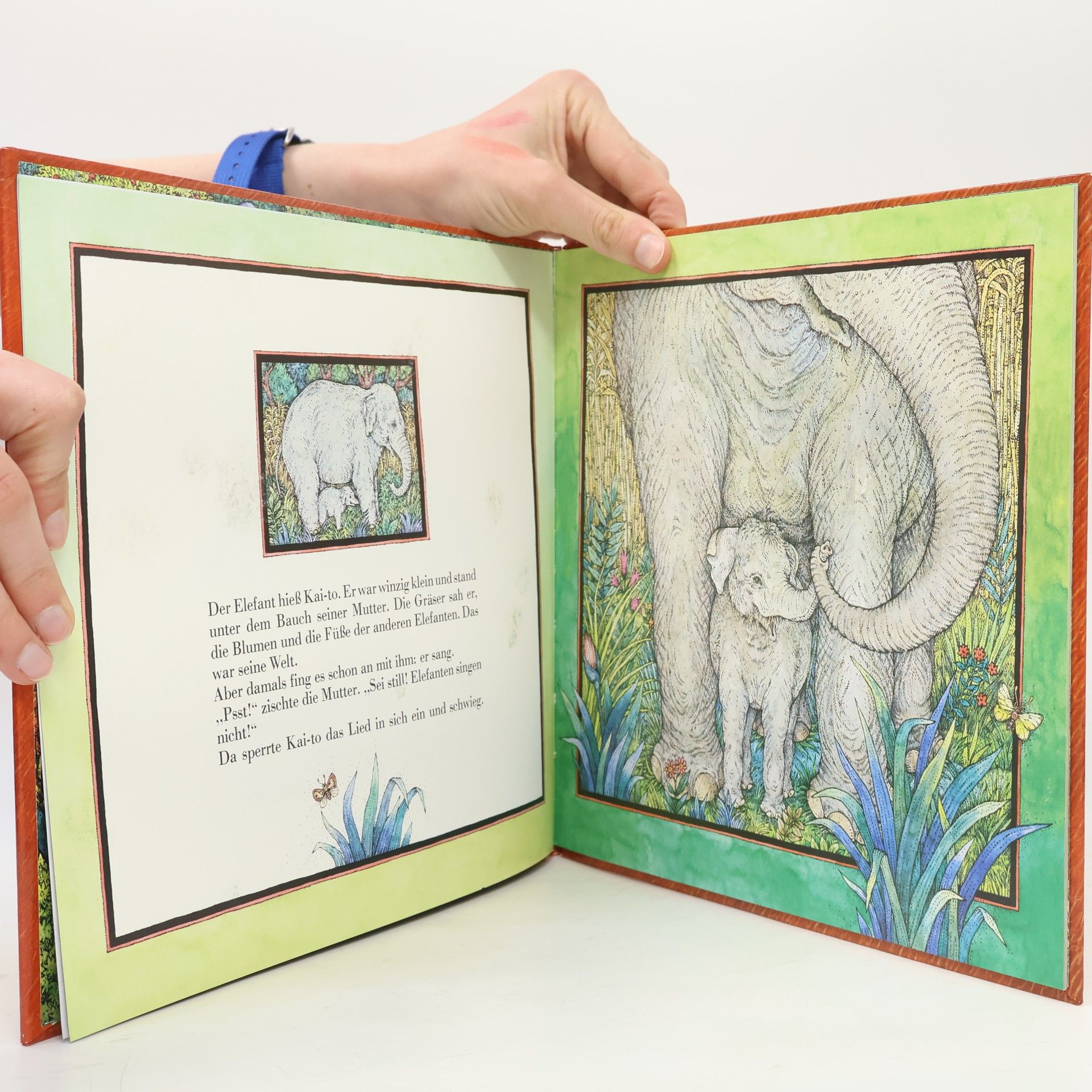 Gina Ruck-Pauquèt Kai-to, der Elefant, der sang