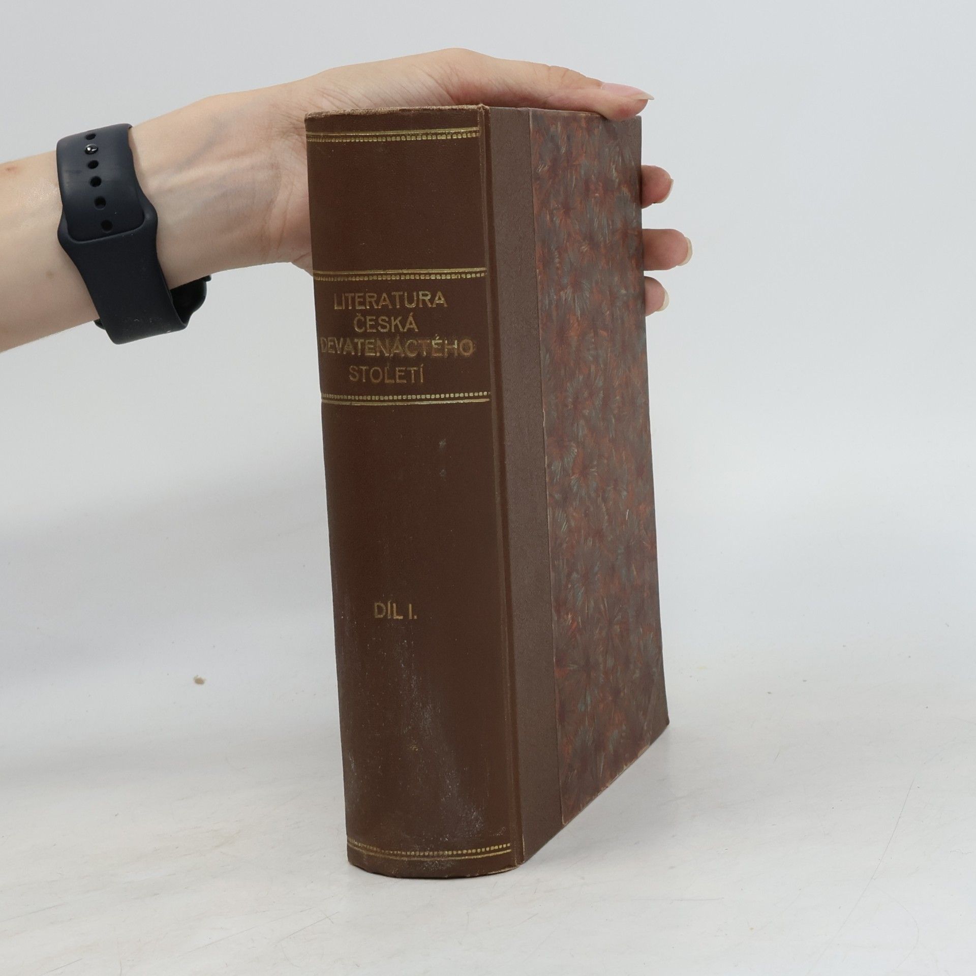 Josef Hanus Literatura česká devatenáctého století I.