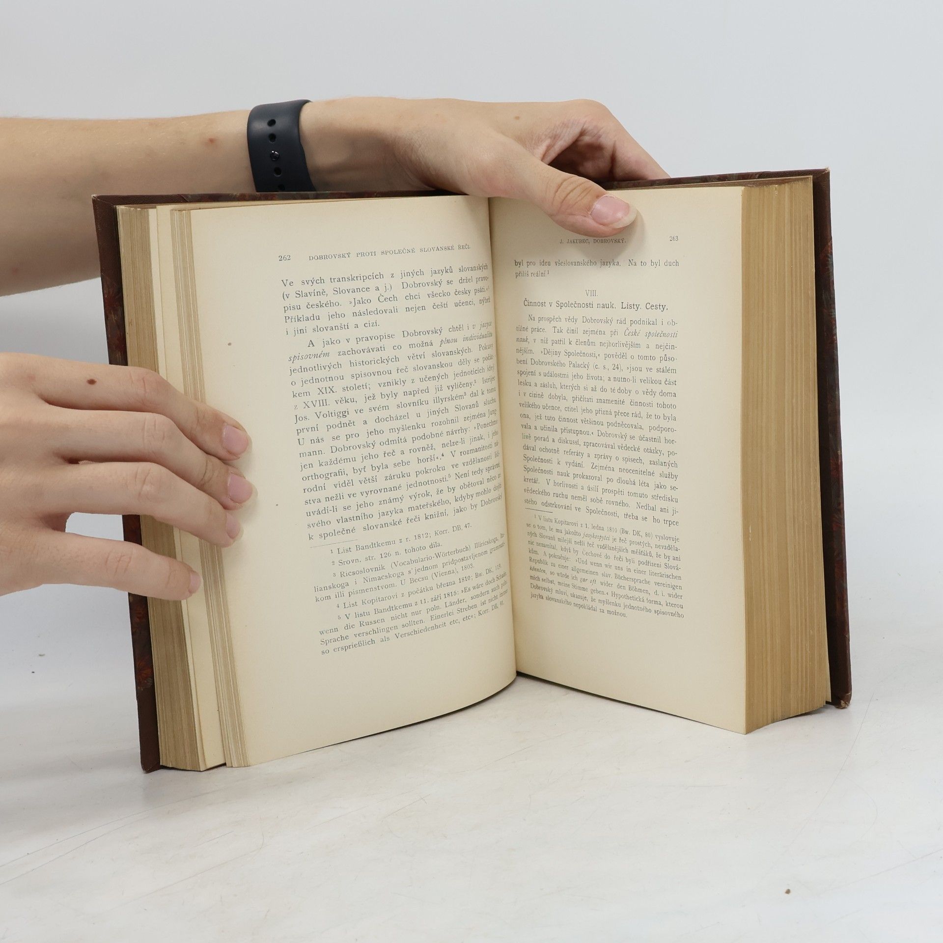 Josef Hanus Literatura česká devatenáctého století I.