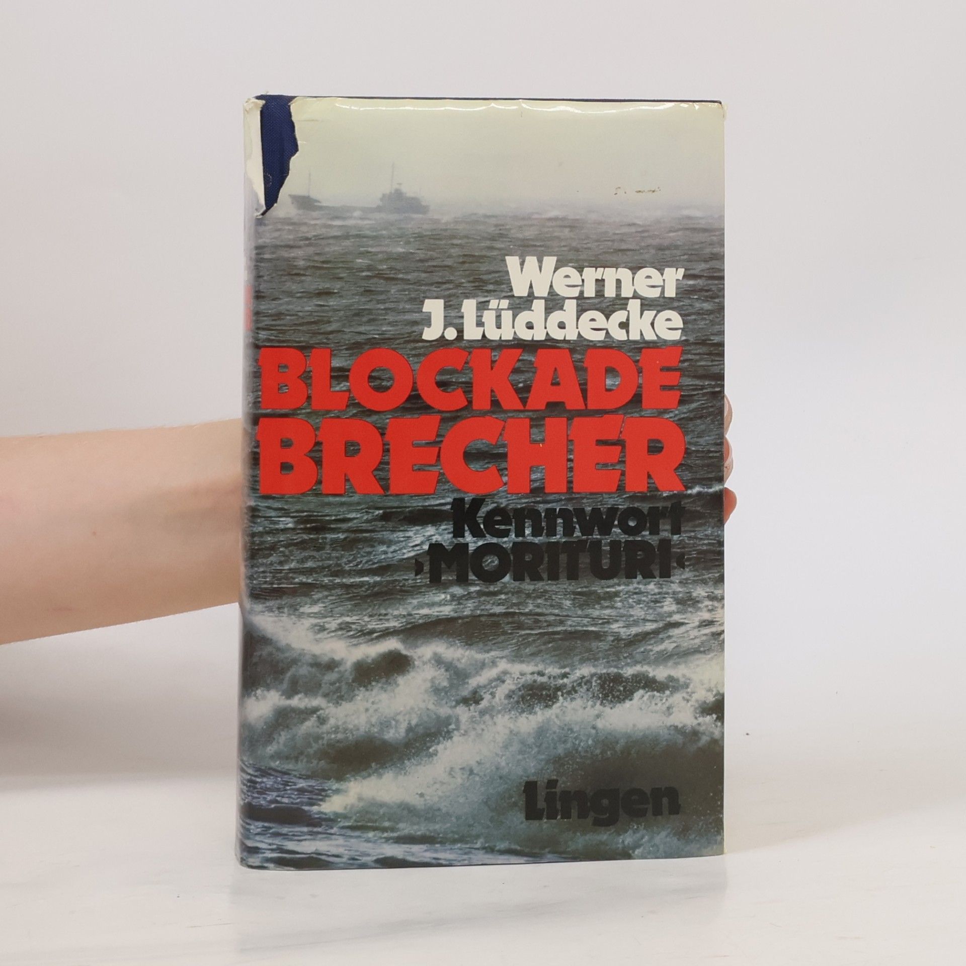 Werner J. Lüddecke Blockade Brecher