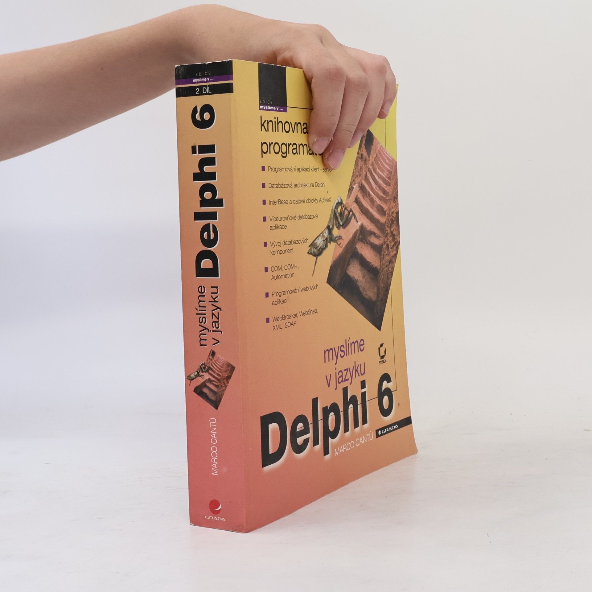 Marco Cantu Myslíme v jazyku Delphi 6, 2. díl