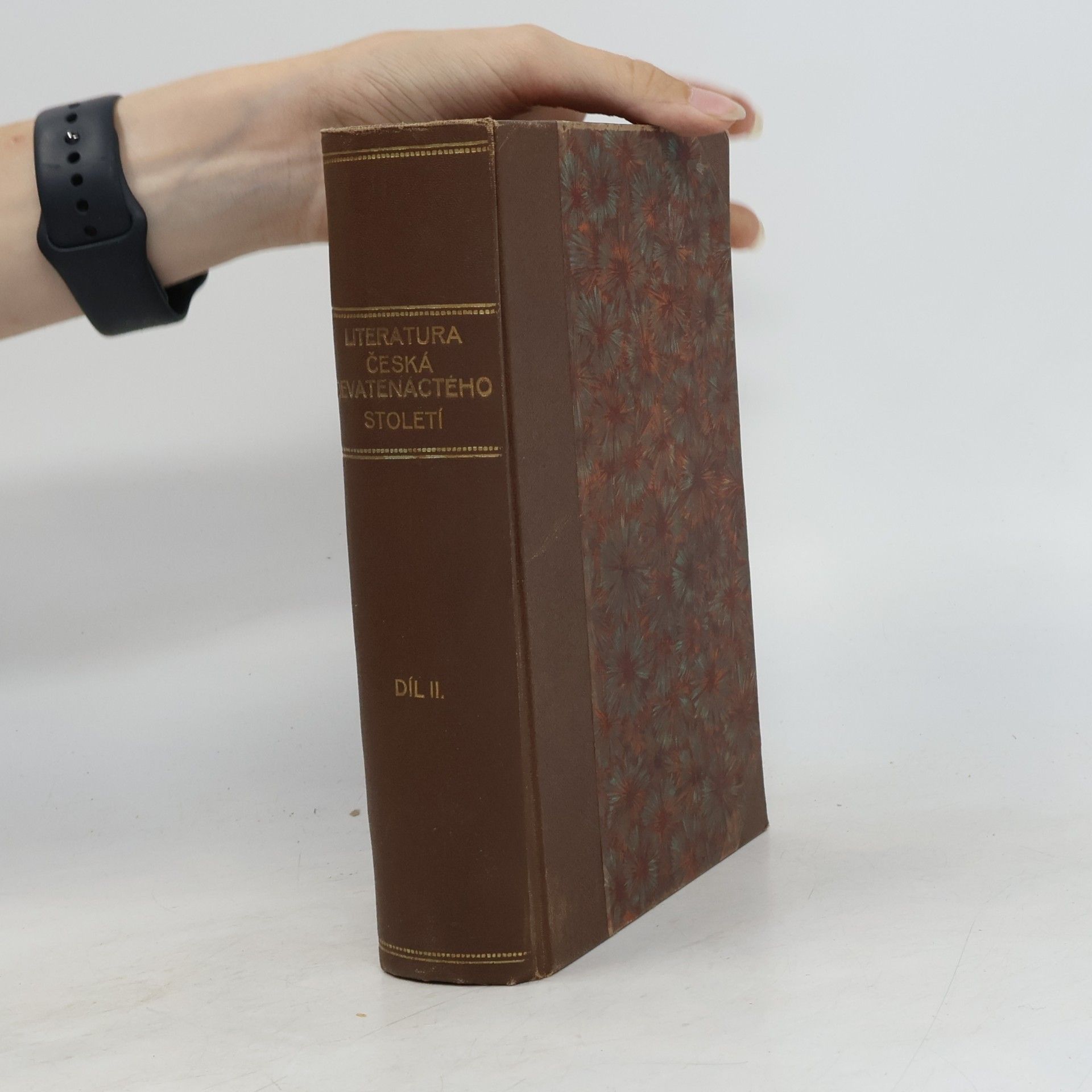 Various authors Literatura česká devatenáctého století 2