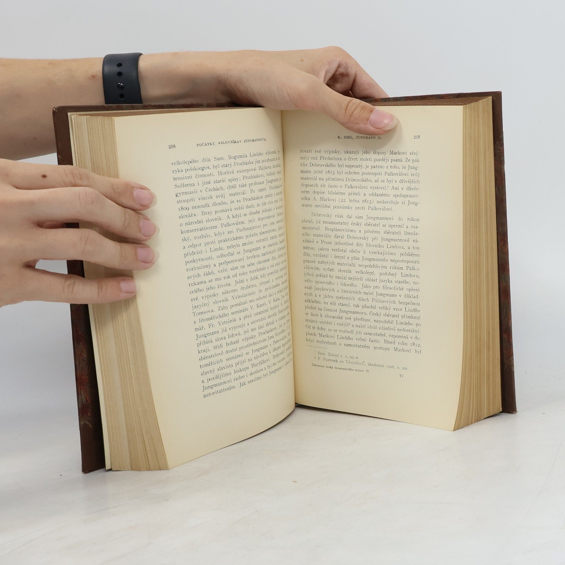 Various authors Literatura česká devatenáctého století 2