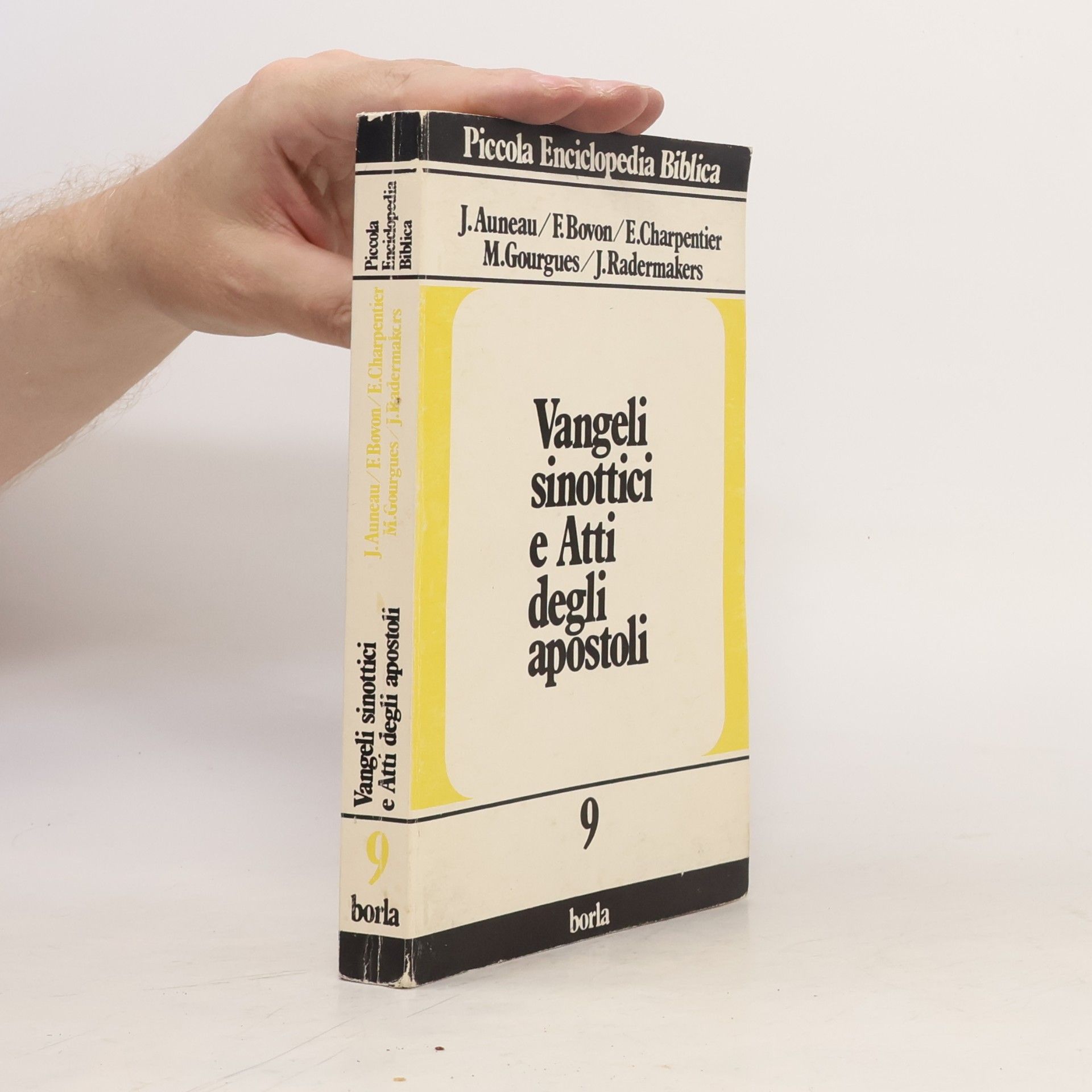 Autorenkollektiv Vangeli sinottici e Atti degli Apostoli