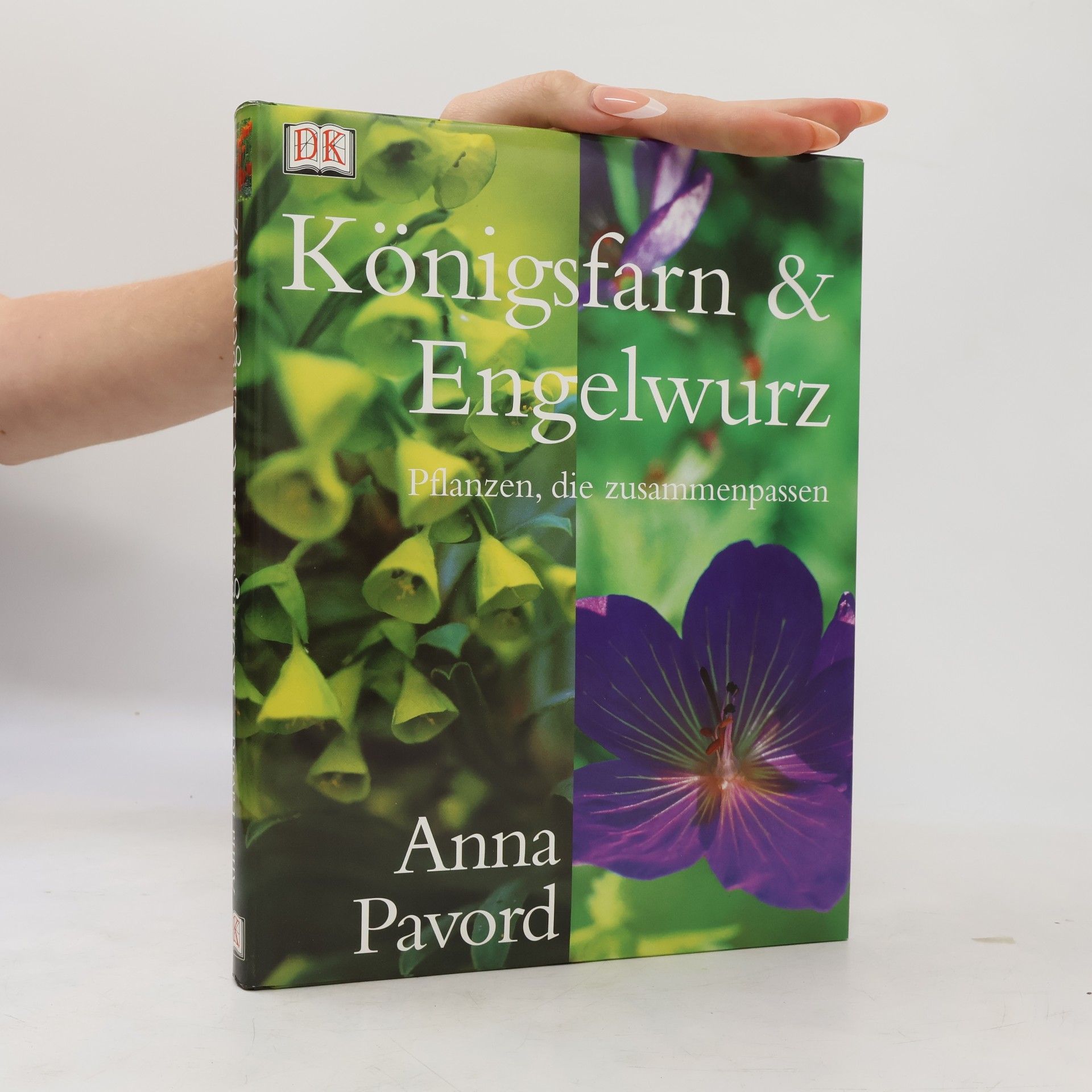 Pavord Anna Königsfarn und Engelwurz