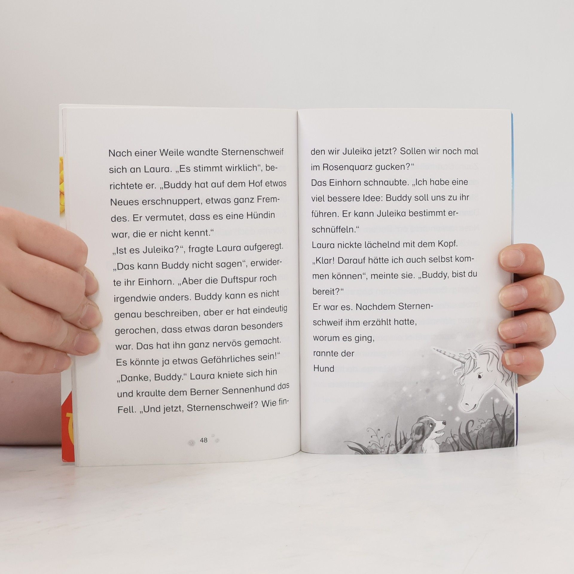 Autorenkollektiv Sternschweif. Hilfe für Juleika