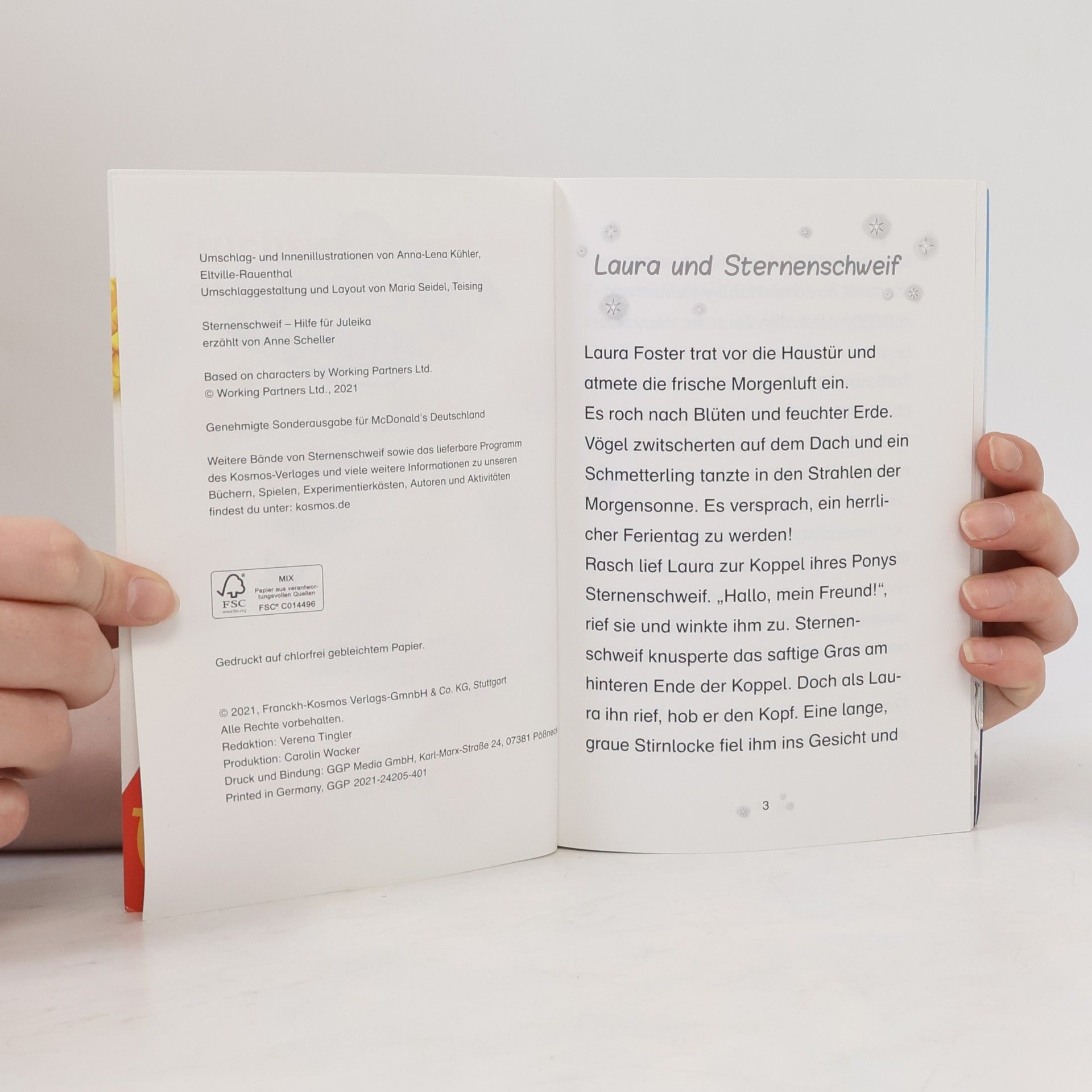Autorenkollektiv Sternschweif. Hilfe für Juleika