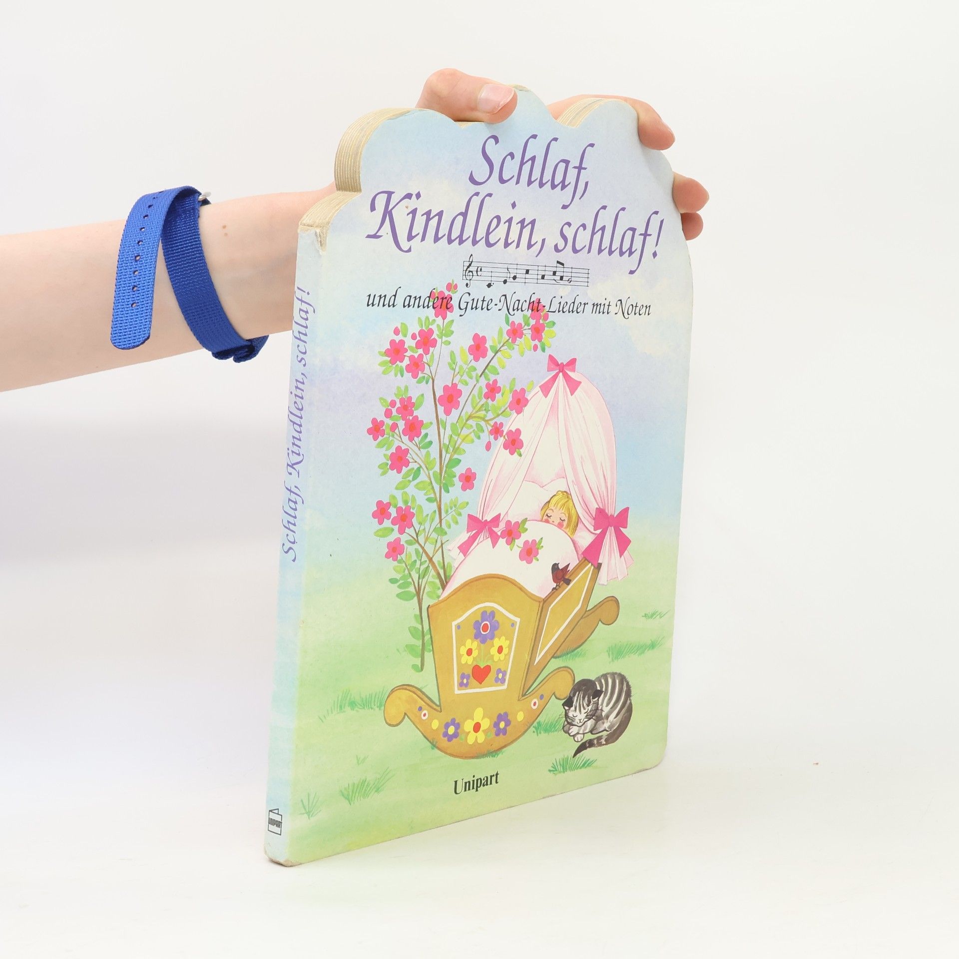 Kolektiv autorů Schlaf, Kindlein, schlaf! und andere Gute-Nacht-Lieder mit Noten