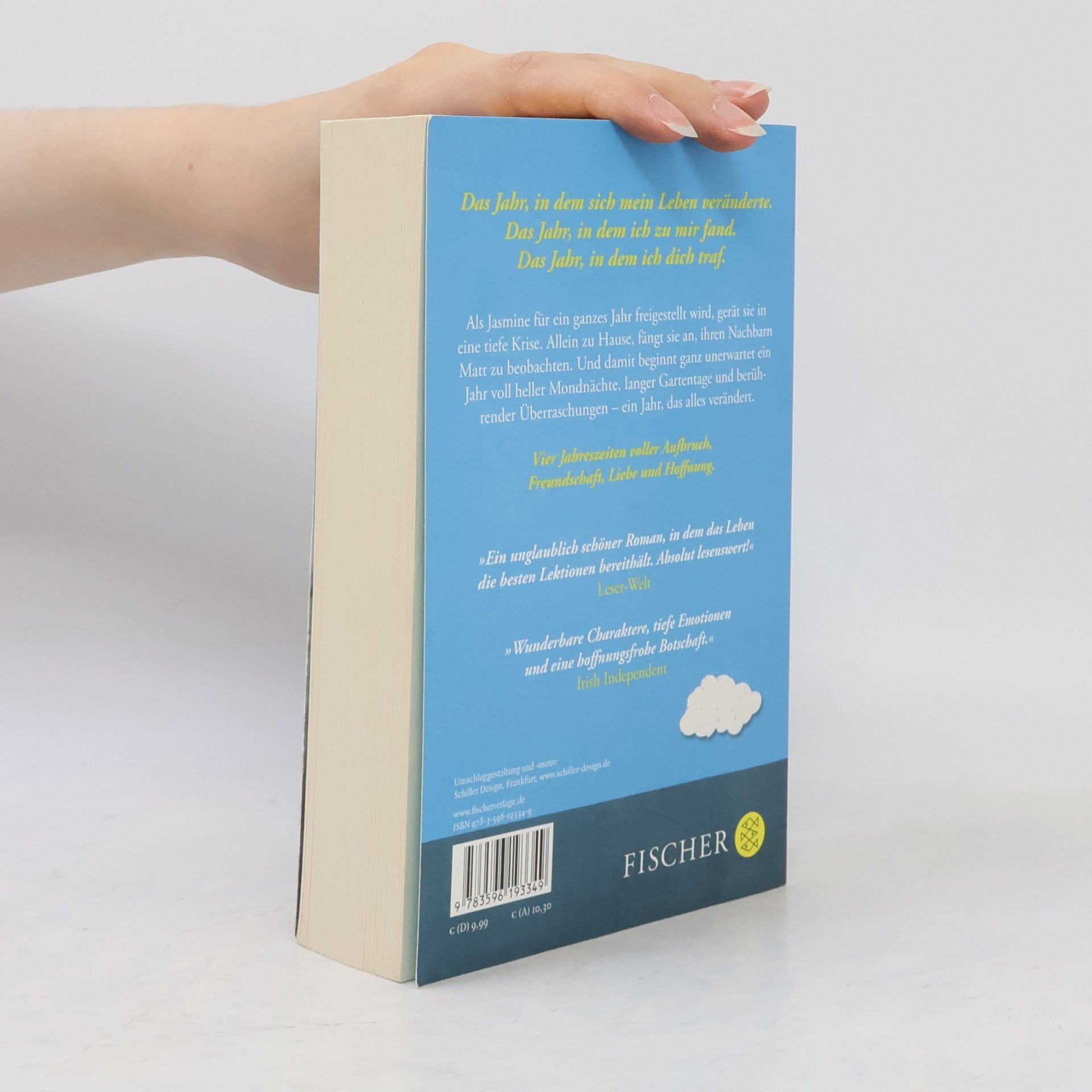 Cecelia Ahern Das Jahr, in dem ich dich traf