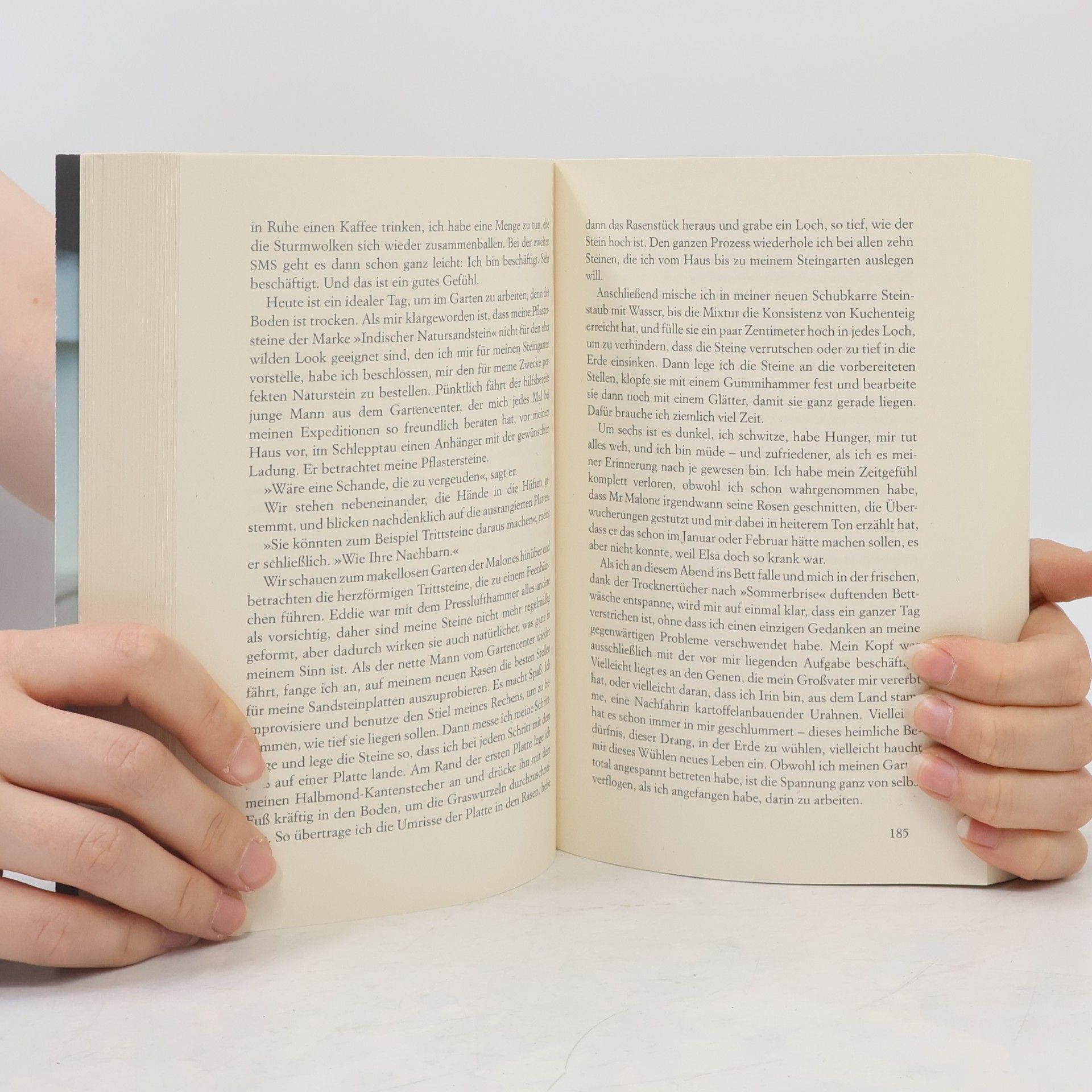 Cecelia Ahern Das Jahr, in dem ich dich traf