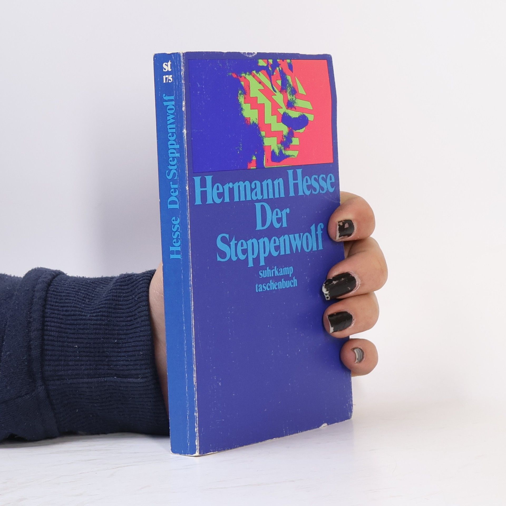Hermann Hesse Der Steppenwolf