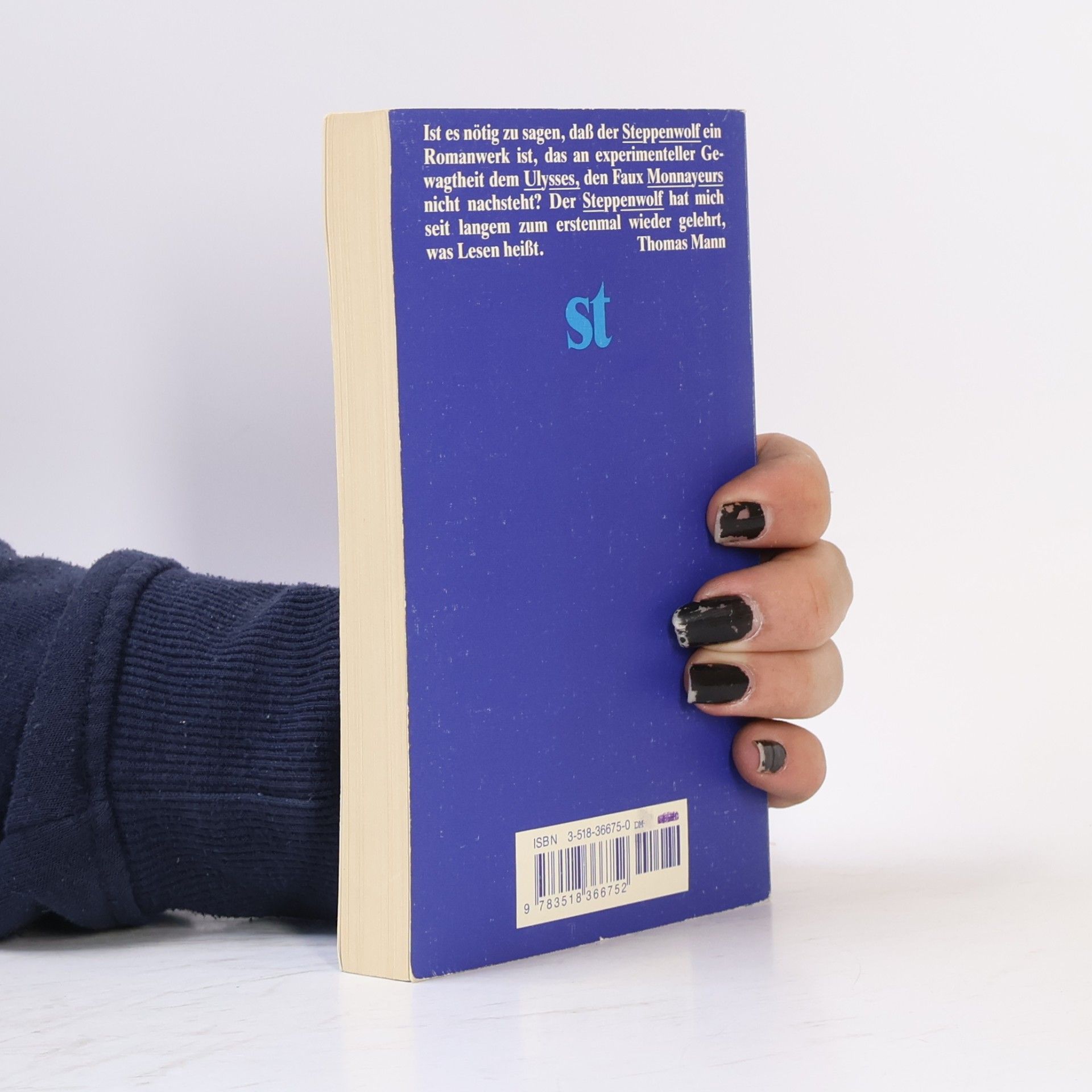 Hermann Hesse Der Steppenwolf