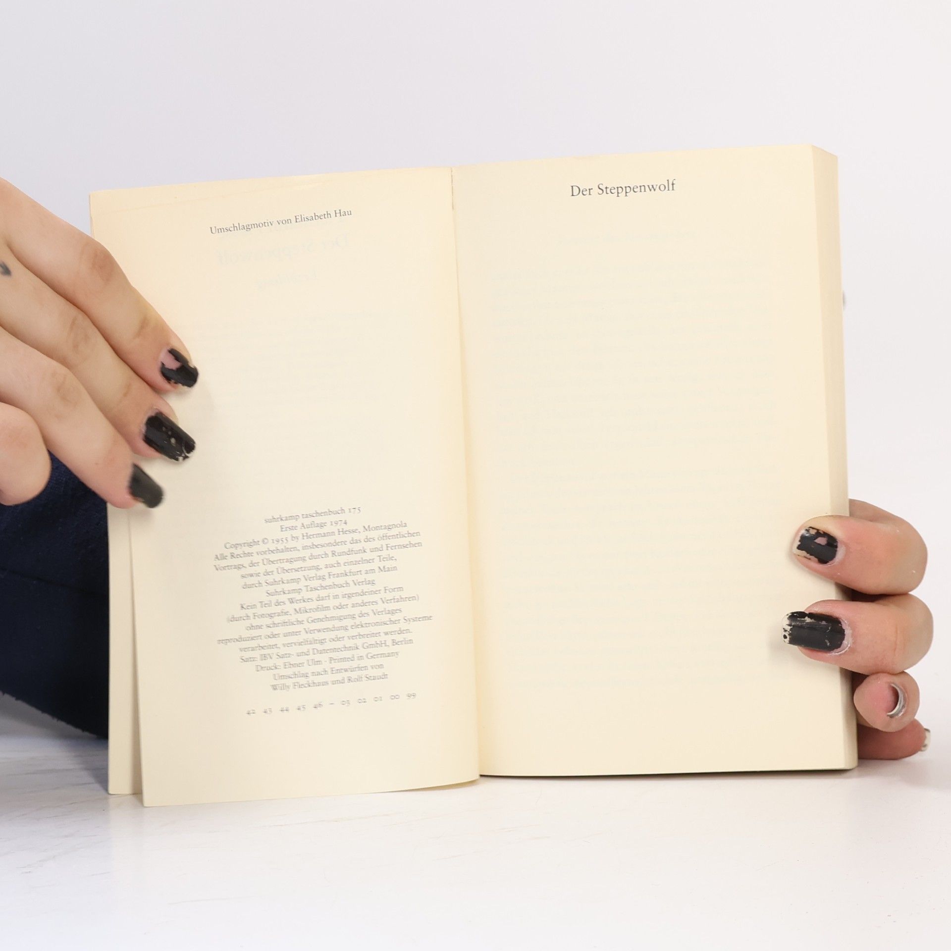 Hermann Hesse Der Steppenwolf