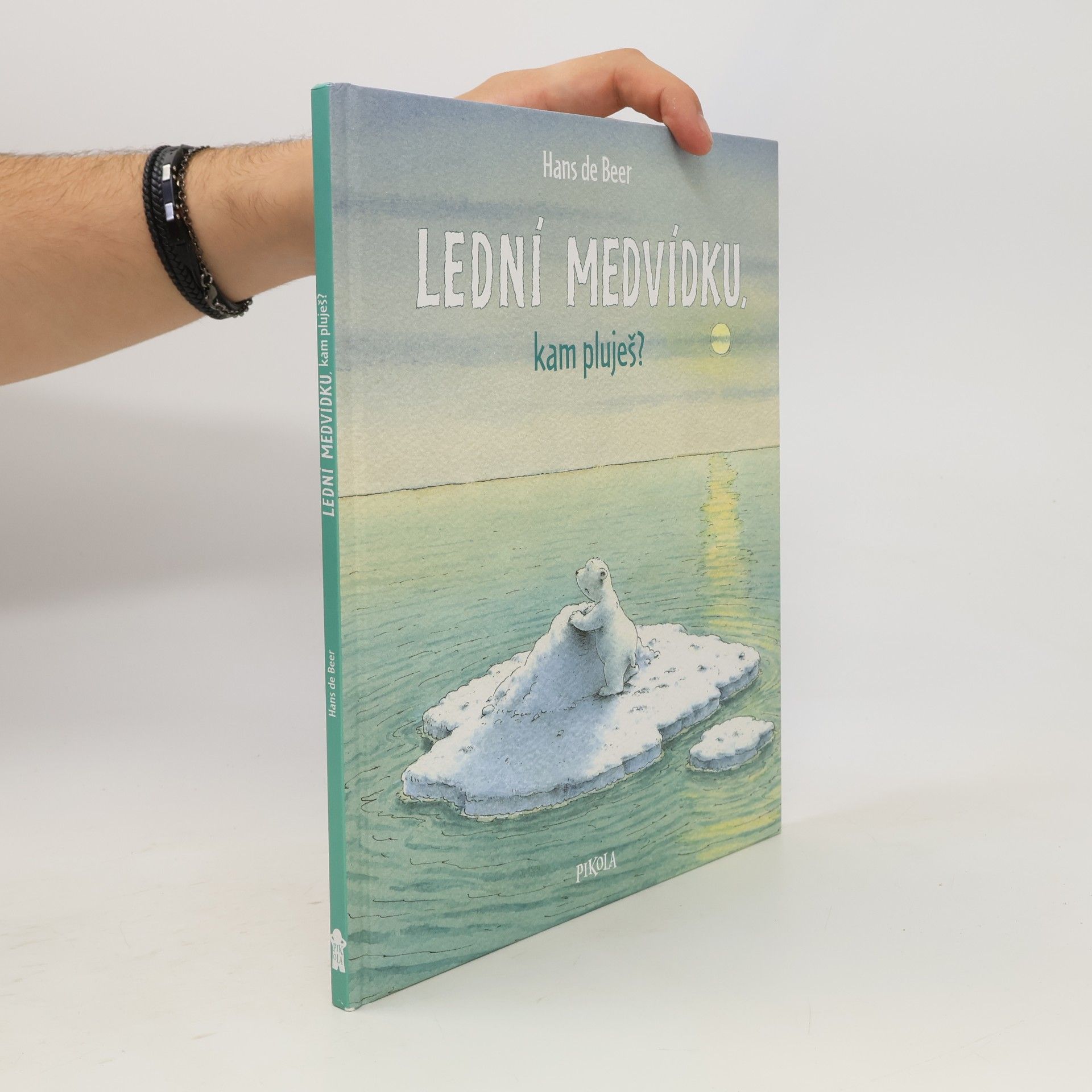 Hans de Beer Lední medvídku, kam pluješ?
