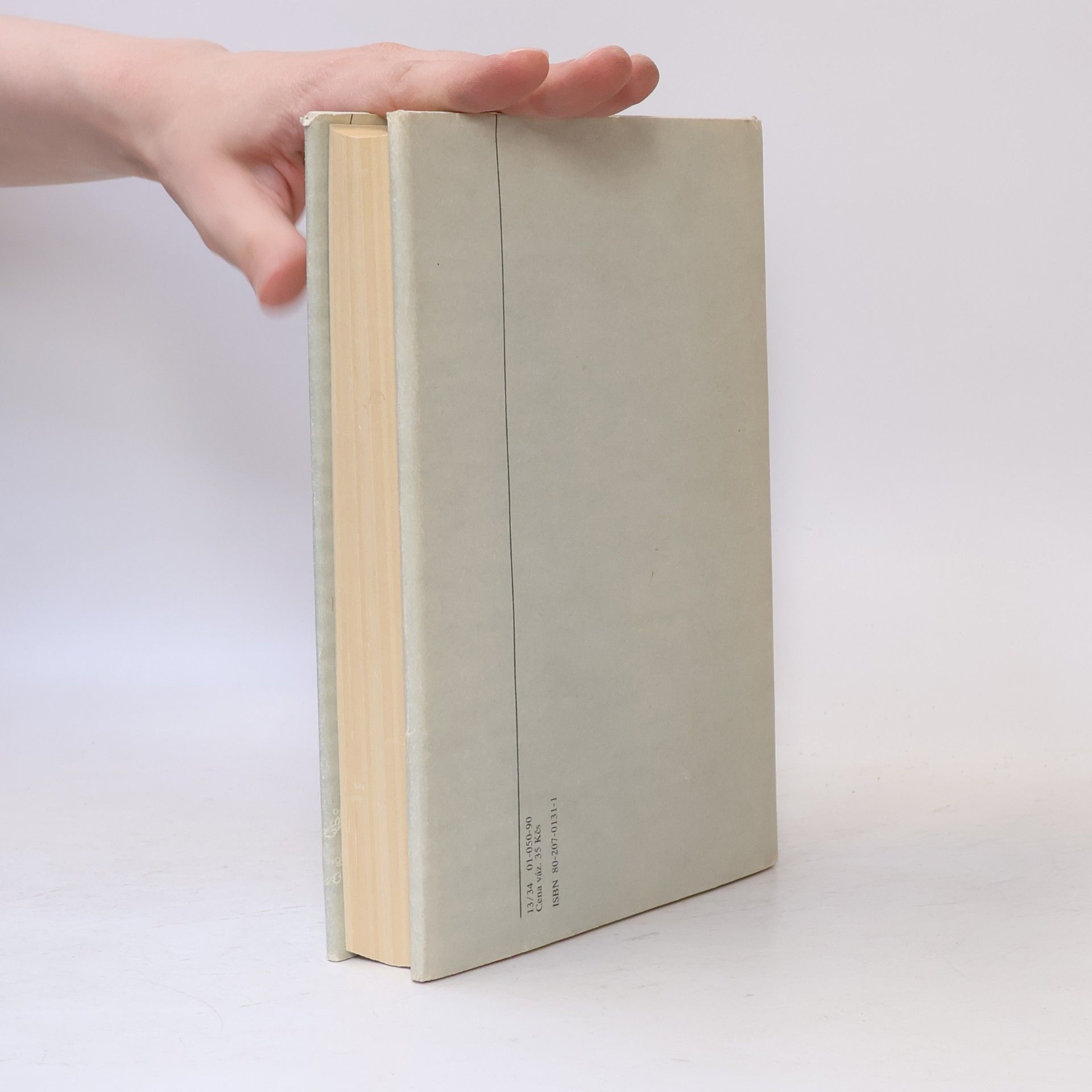 John Irving Svět podle Garpa