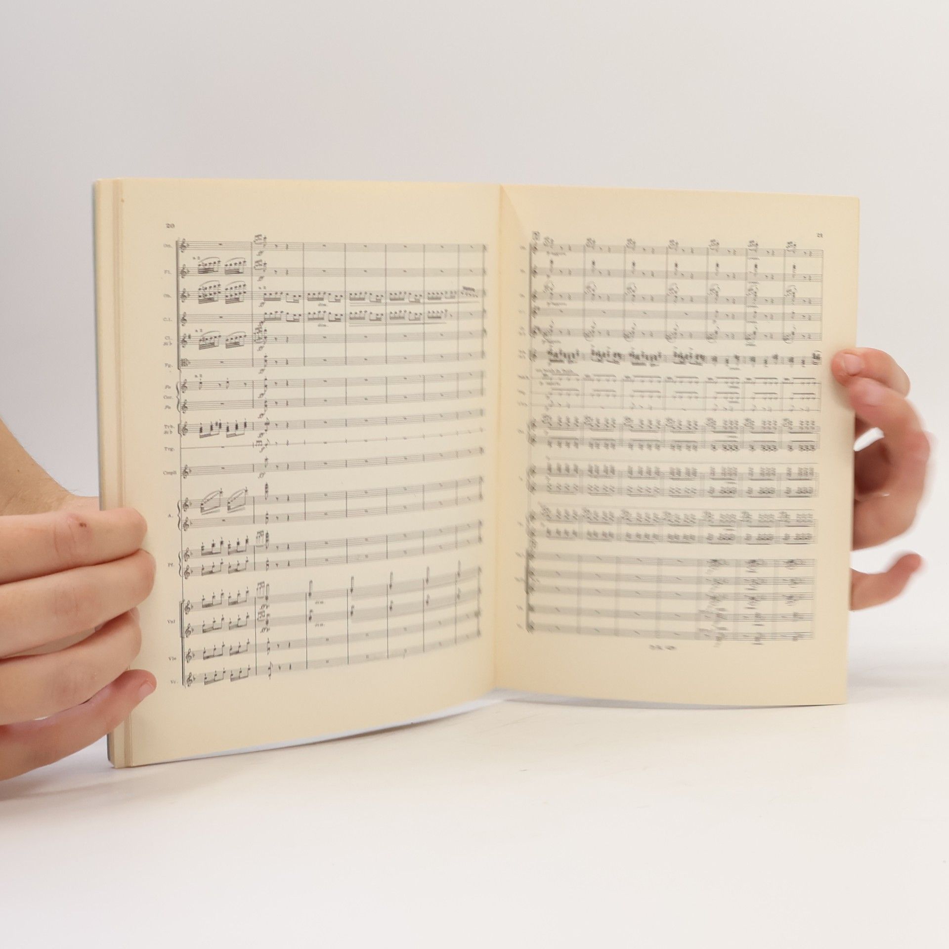Ottorino Respighi Pini di Roma