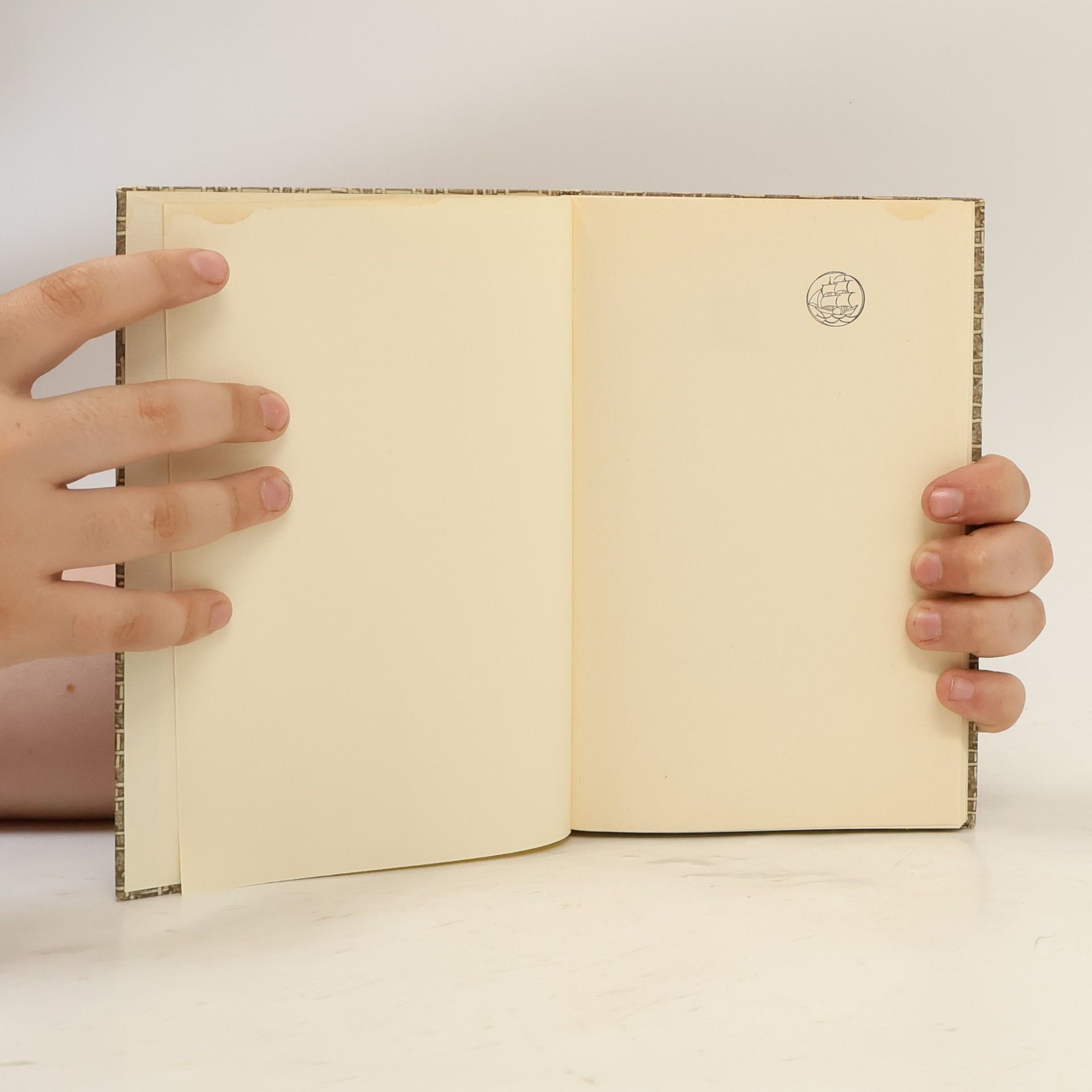 Rainer Maria Rilke Briefe an eine junge Frau