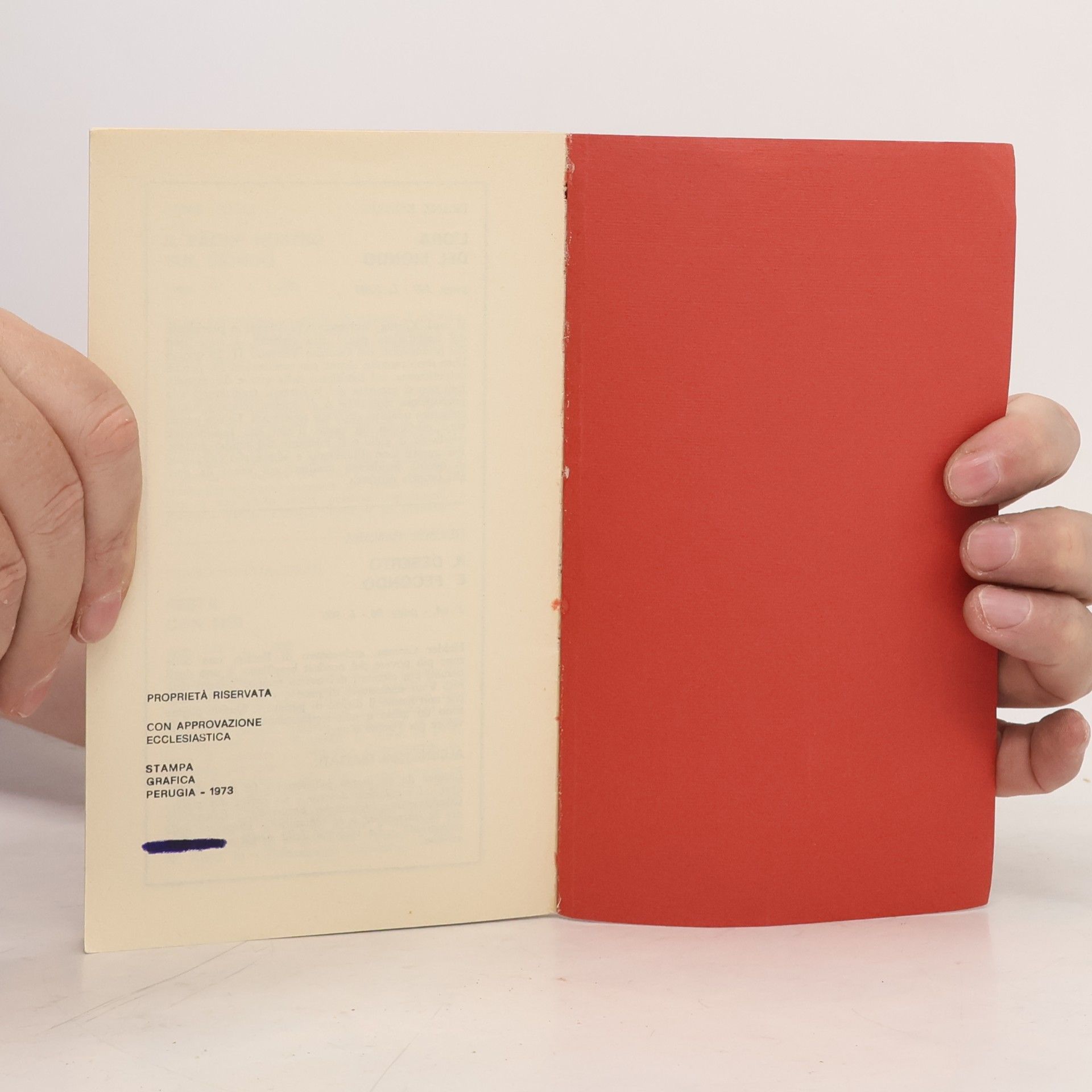 Autorenkollektiv Sulle tracce di Padre de Foucauld