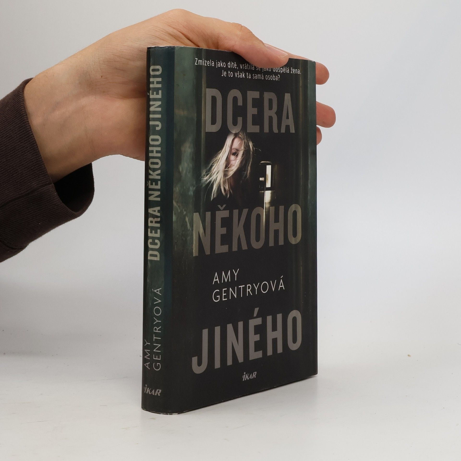 Amy Gentry Dcera někoho jiného