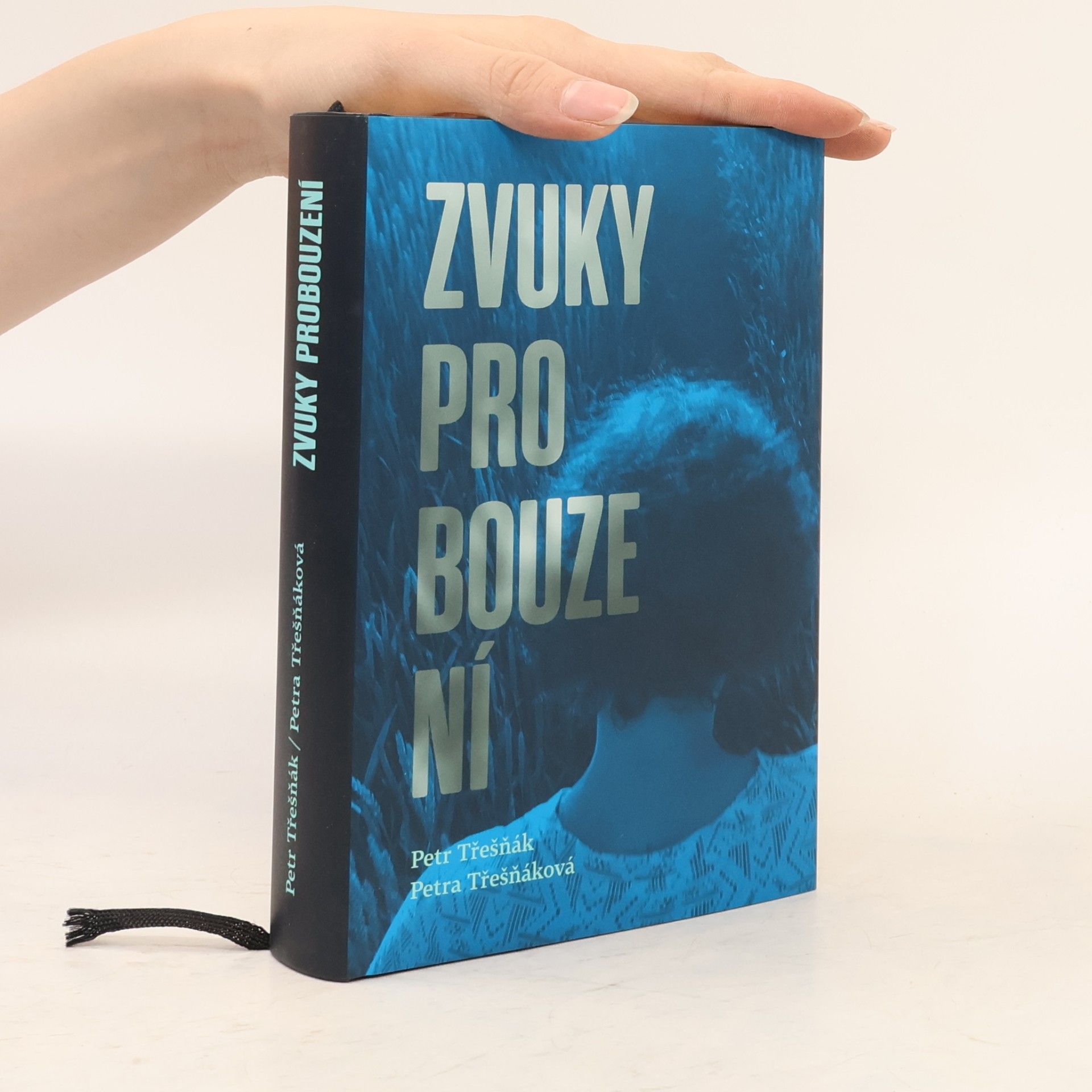 Petr Třešňák Zvuky probouzení